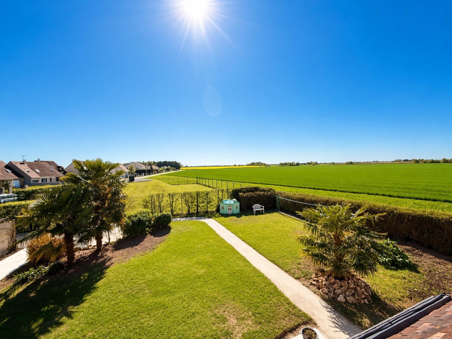 Miniature photo - 12 / 16