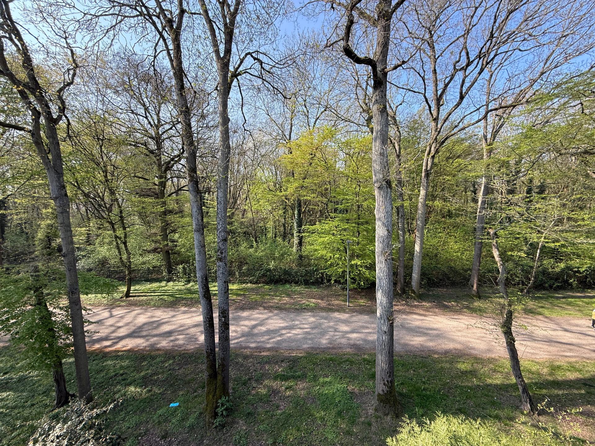 Miniature photo - 7 / 7