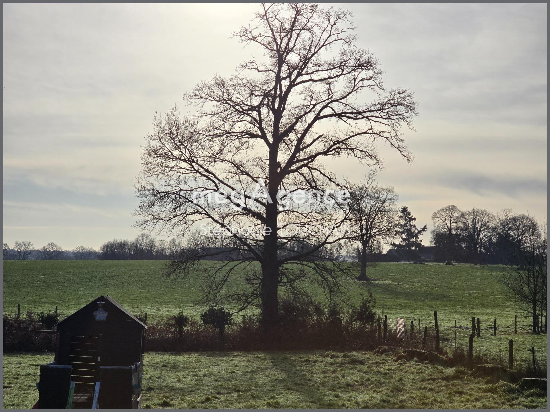 Miniature photo - 19 / 19