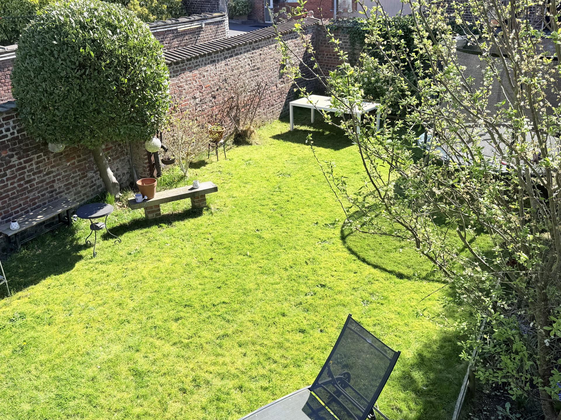 Miniature photo - 12 / 12