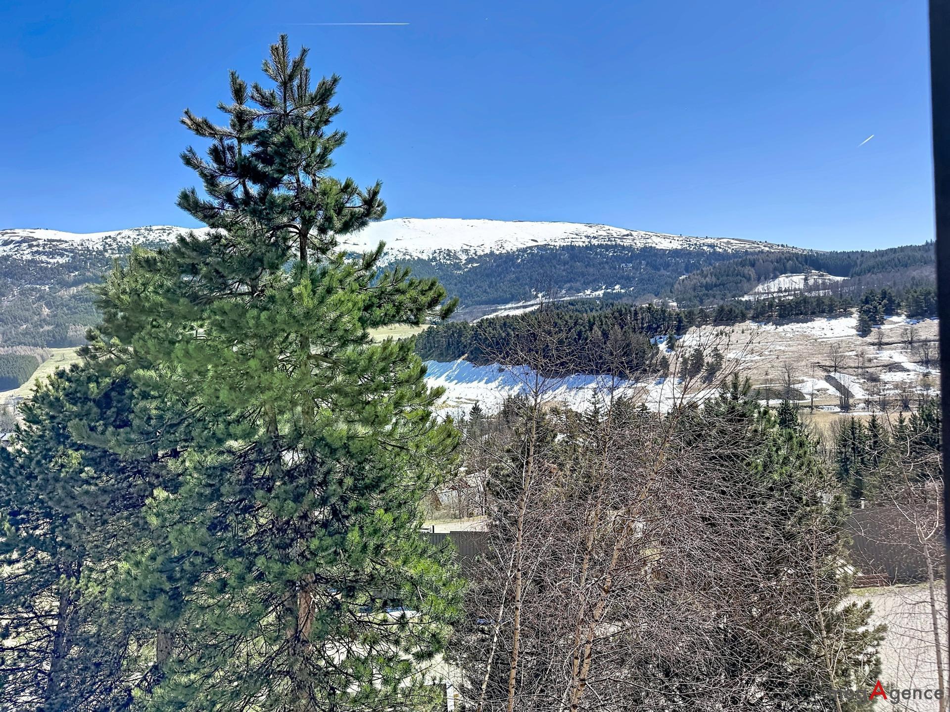 Miniature photo - 4 / 11