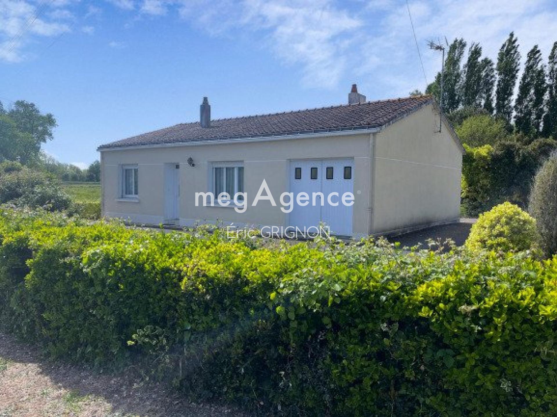 Miniature photo - 2 / 12