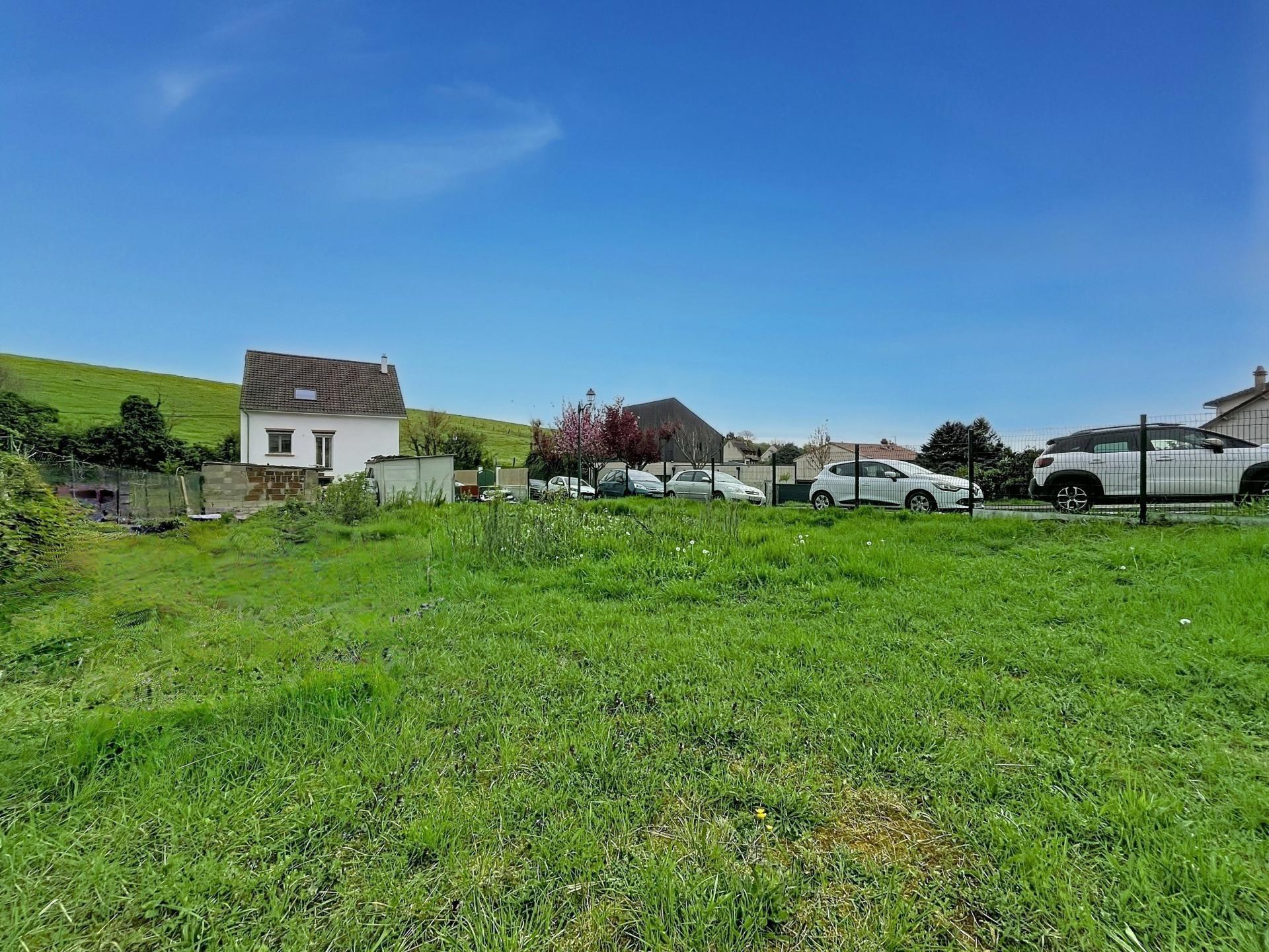 Miniature photo - 3 / 3