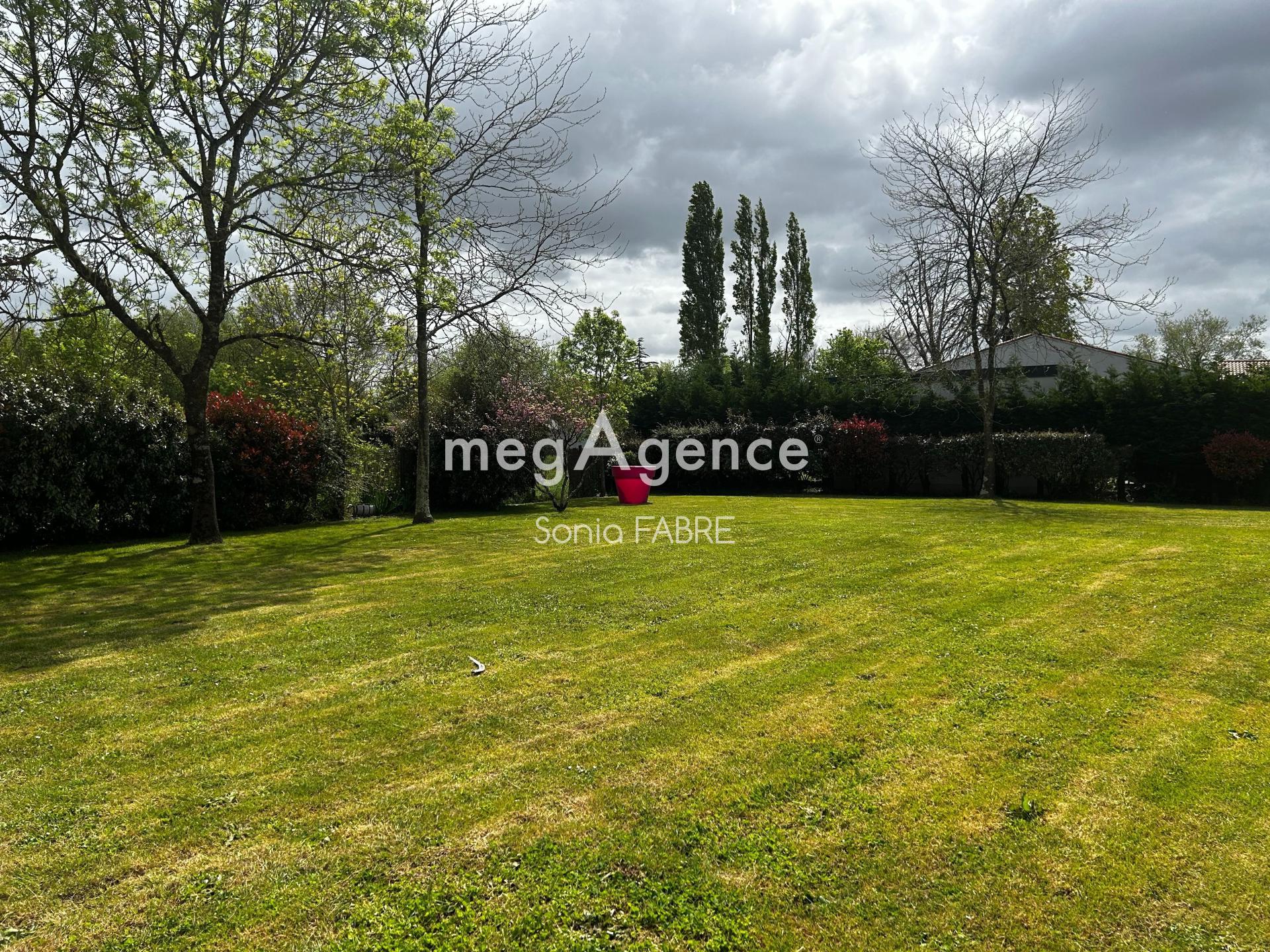 Miniature photo - 2 / 3