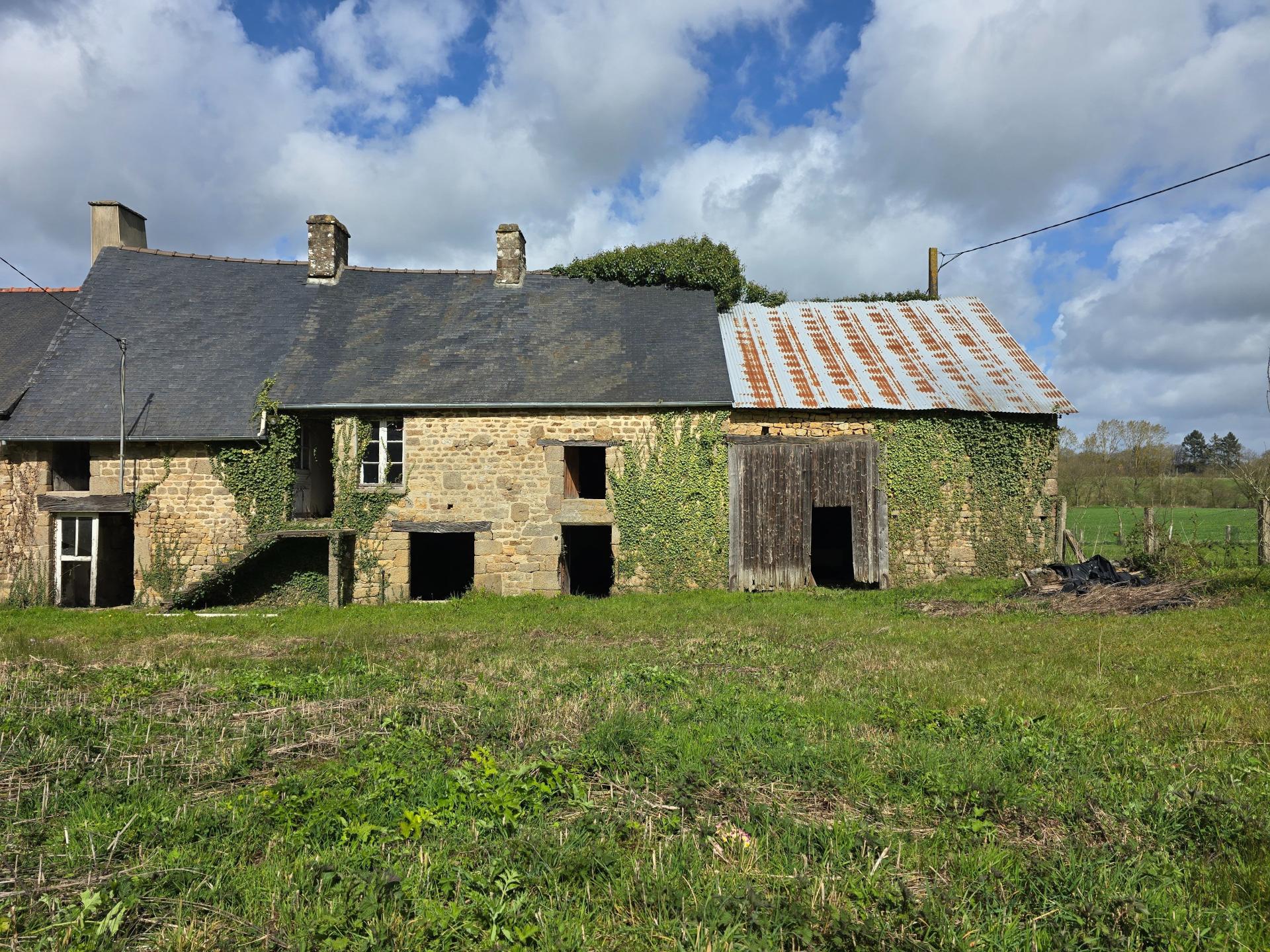 Miniature photo - 11 / 11