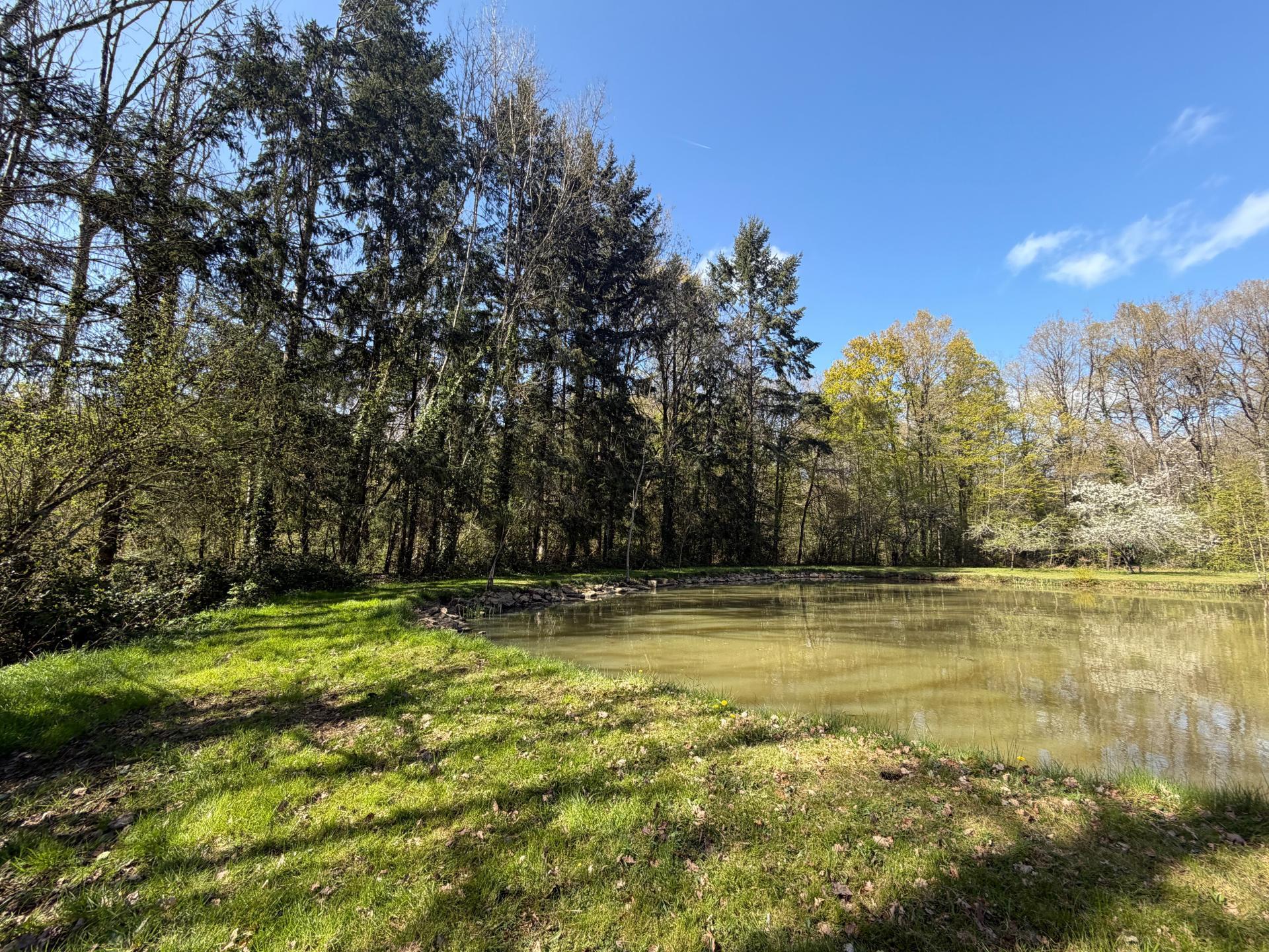 Miniature photo - 3 / 6