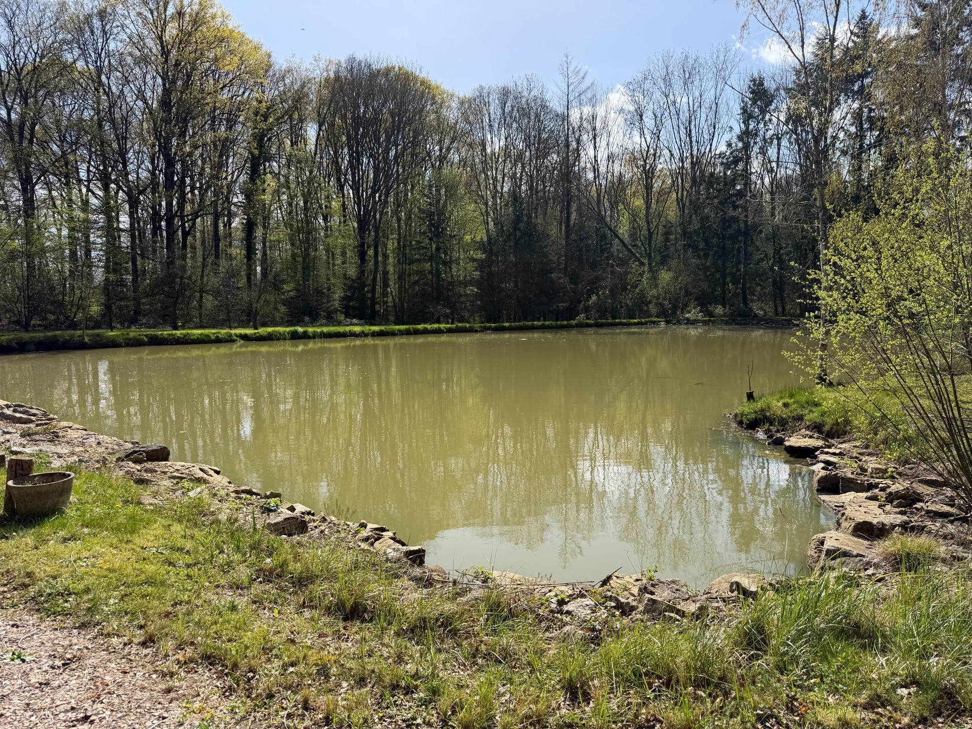 Miniature photo - 2 / 6