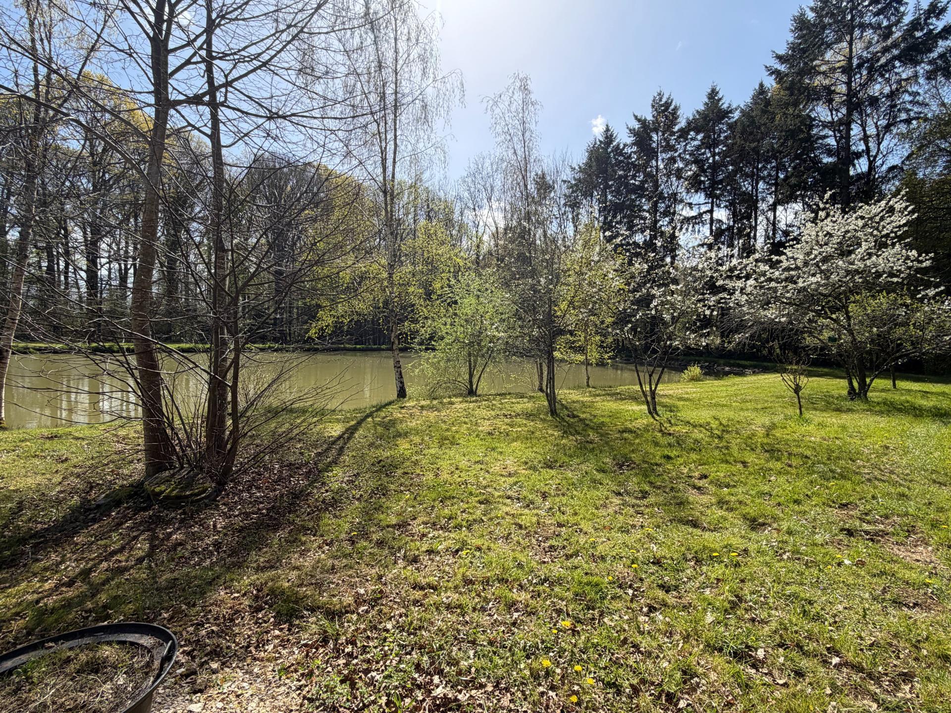 Miniature photo - 5 / 6