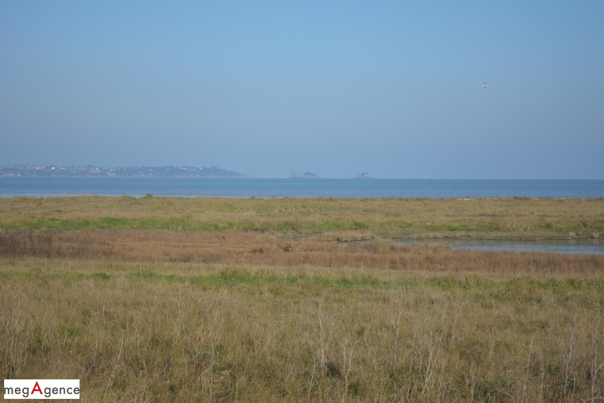 Miniature photo - 5 / 6