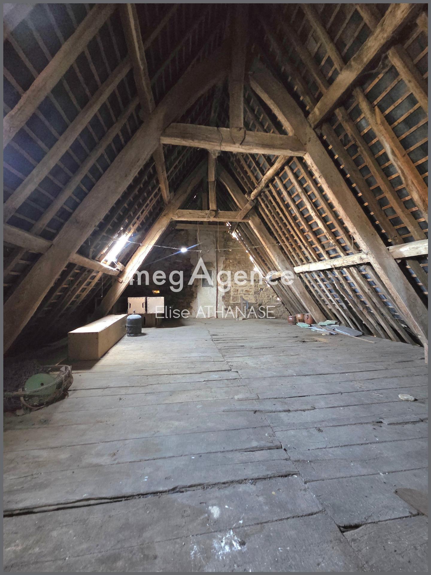 Miniature photo - 13 / 13