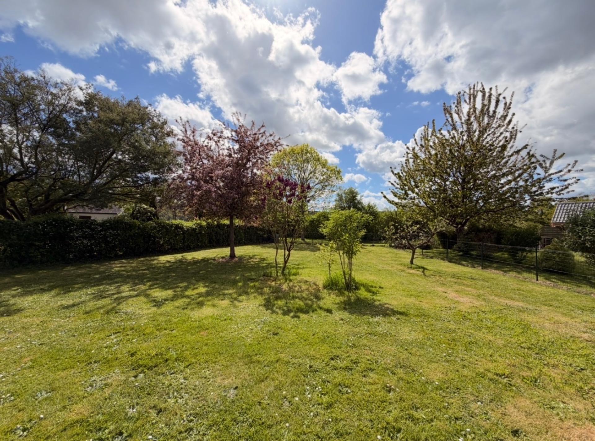 Miniature photo - 11 / 11