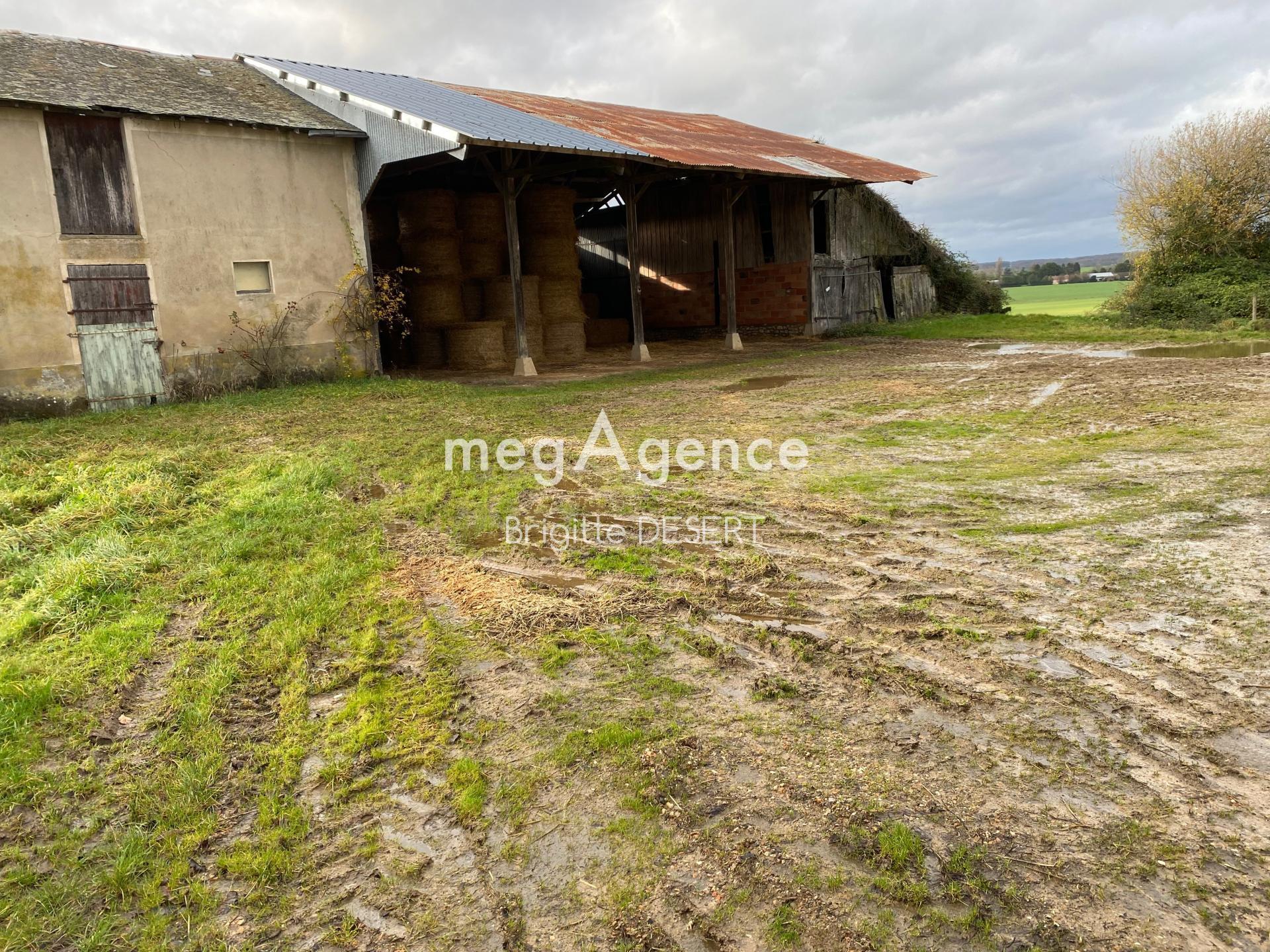 Miniature photo - 2 / 7