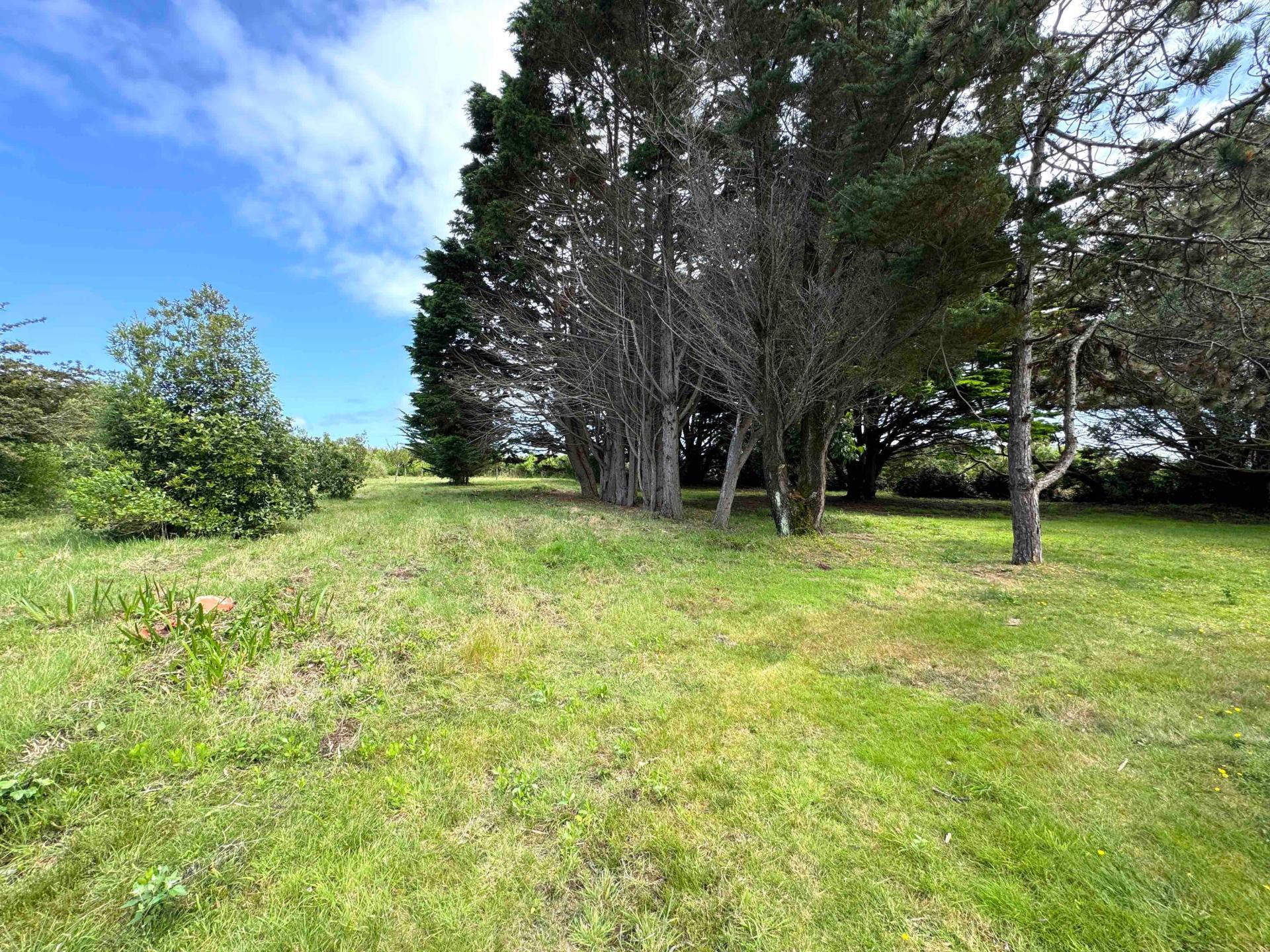 Miniature photo - 6 / 17