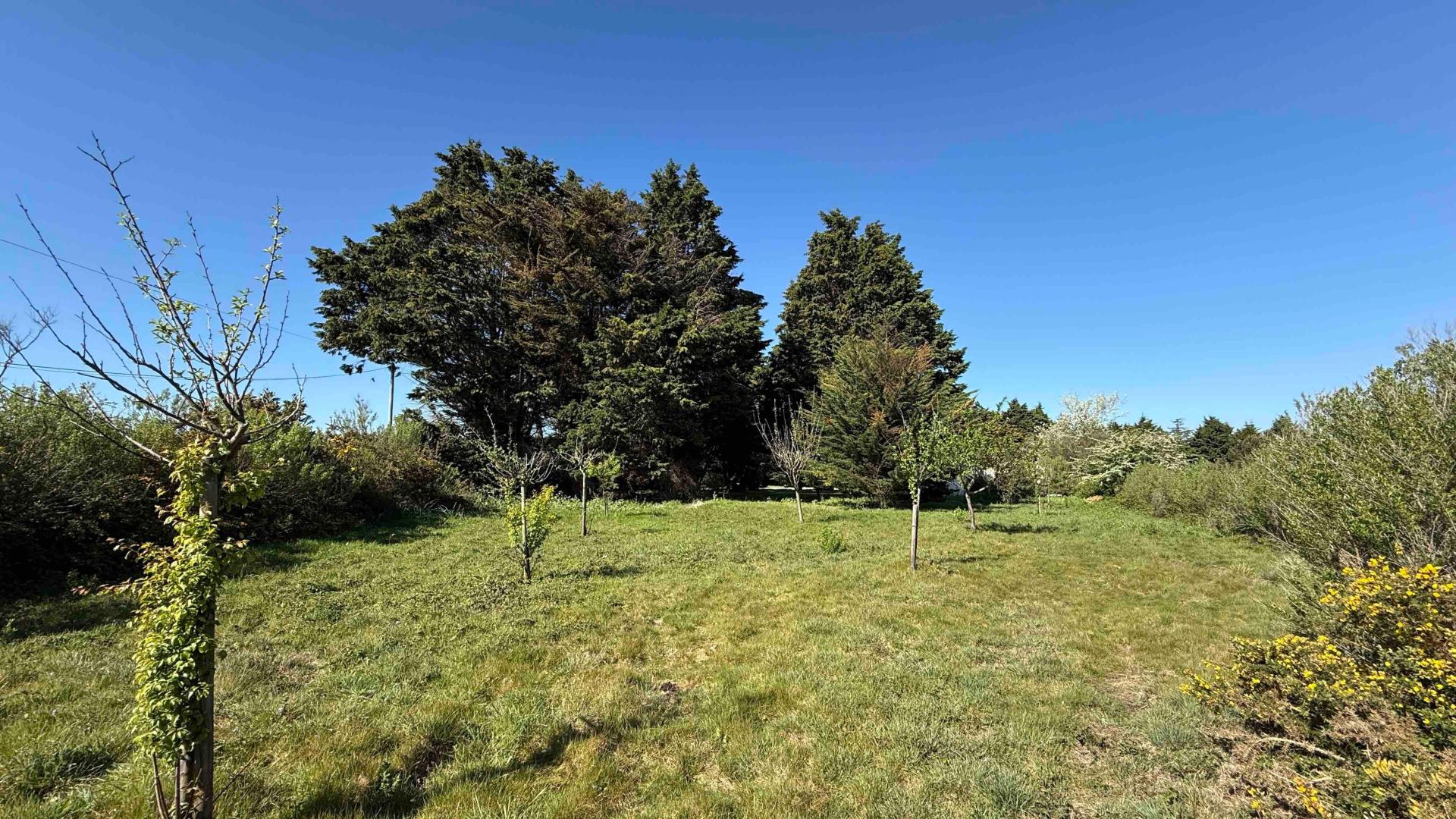 Miniature photo - 5 / 17