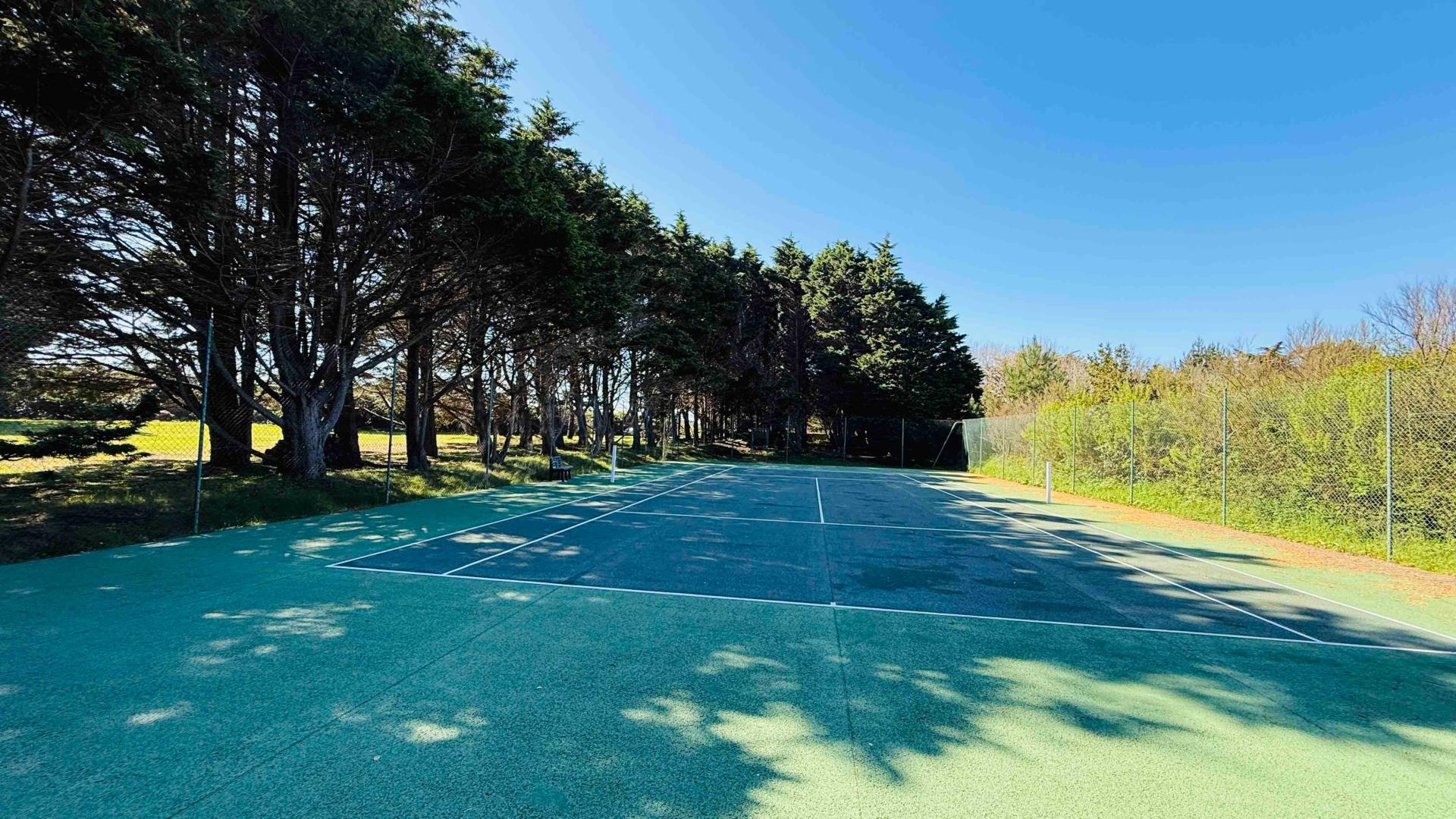 Miniature photo - 2 / 17