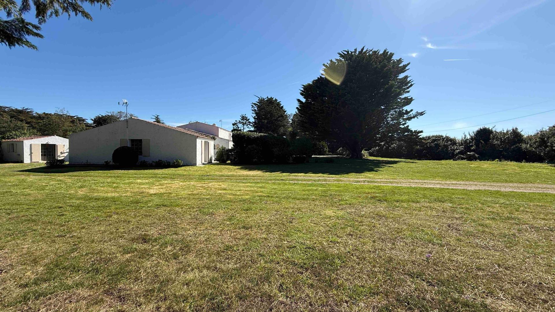 Miniature photo - 4 / 17