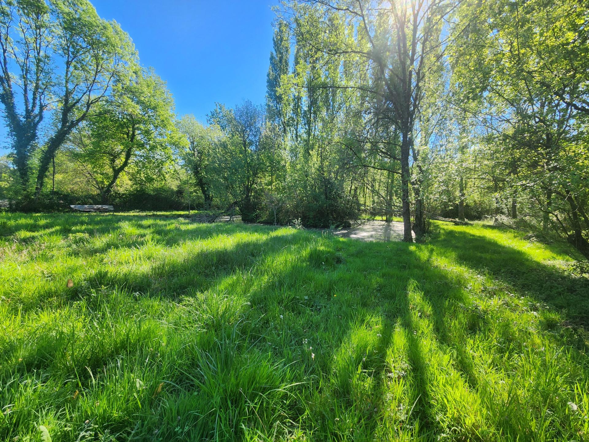 Miniature photo - 14 / 14