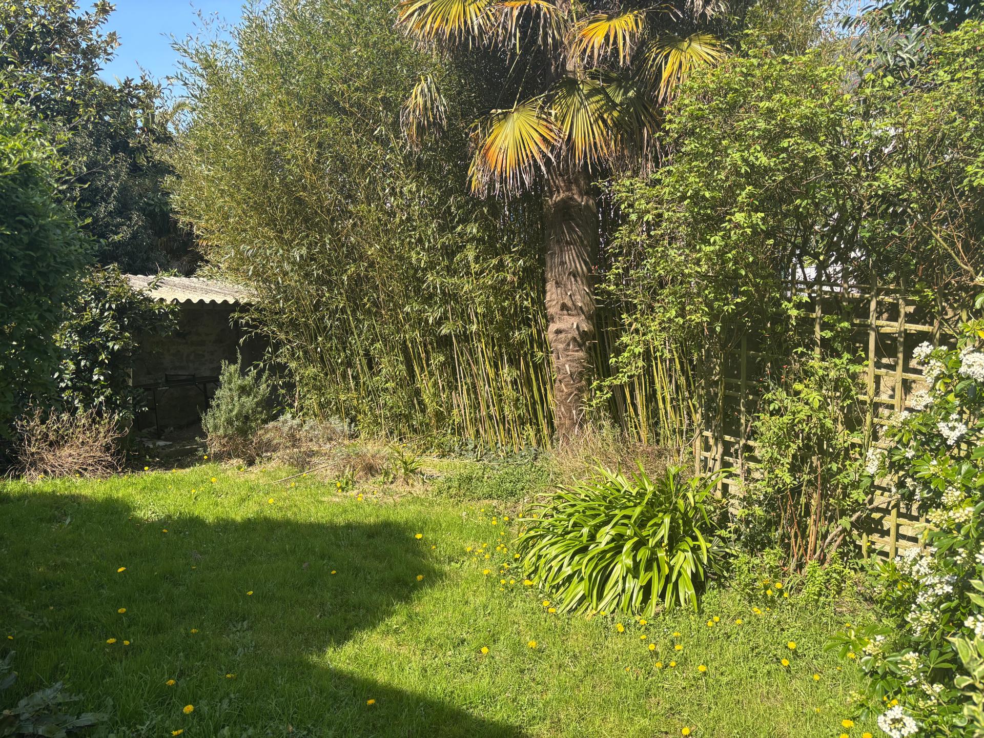 Miniature photo - 7 / 7