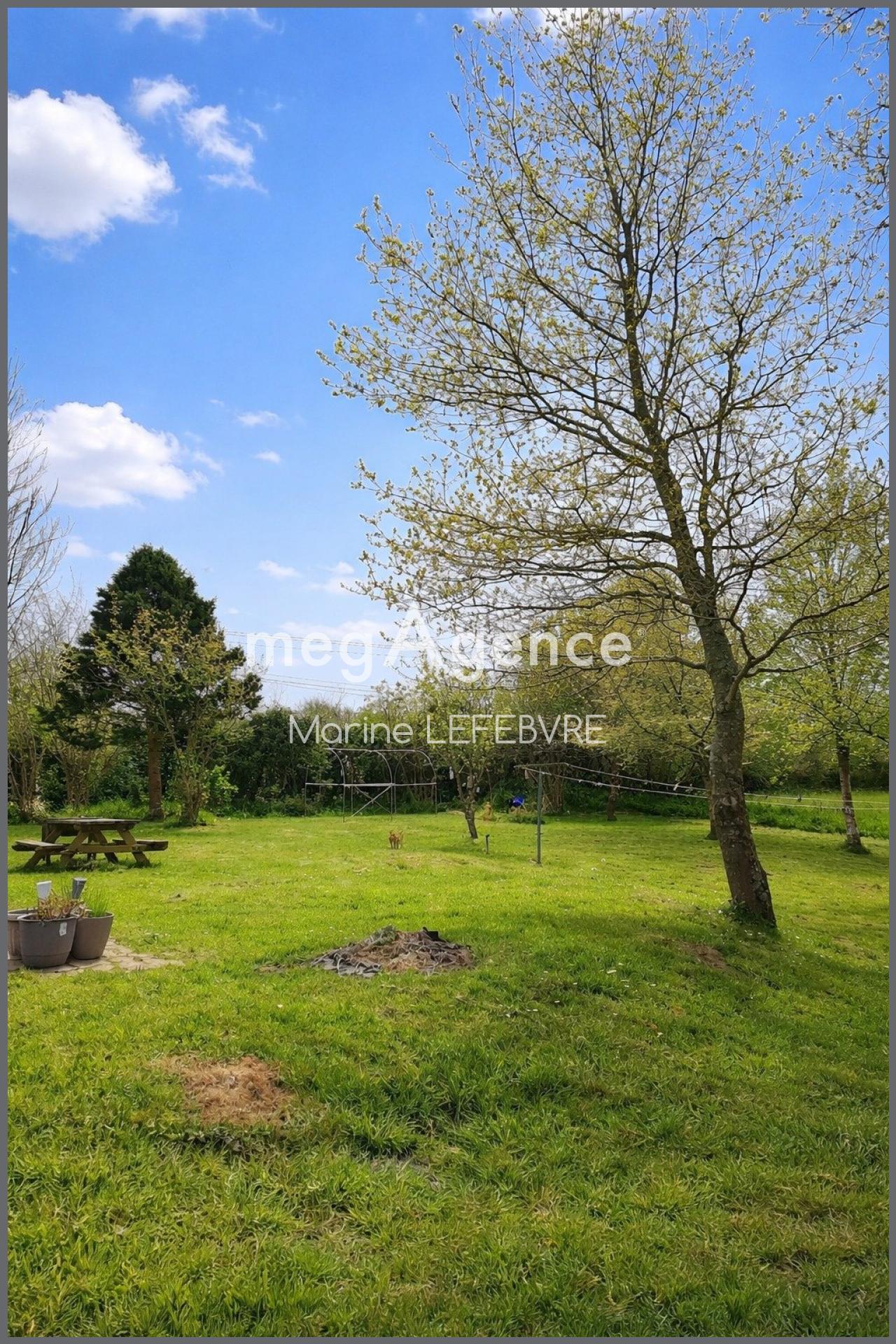 Miniature photo - 12 / 12