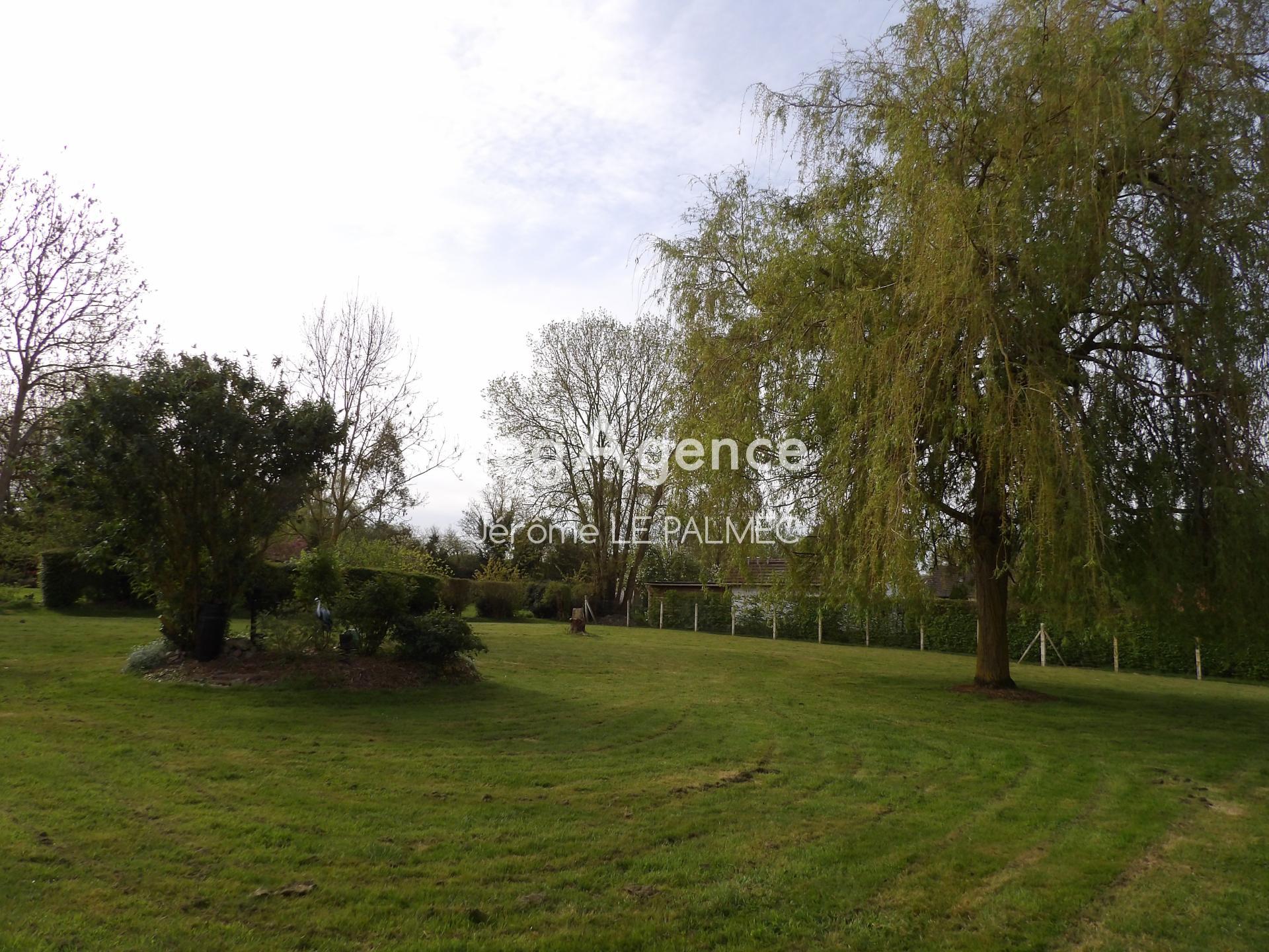 Miniature photo - 3 / 11