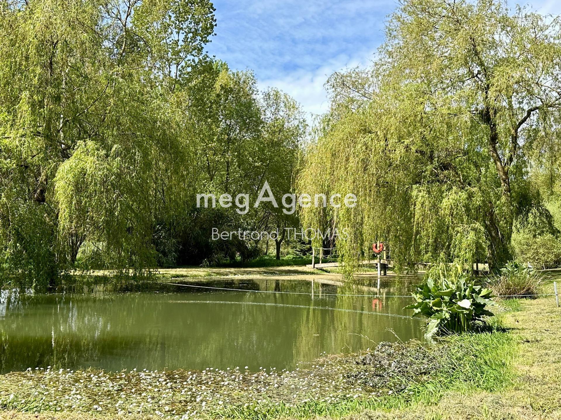 Miniature photo - 3 / 15