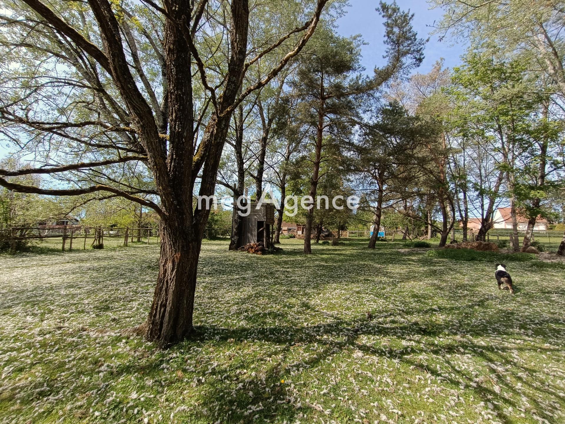 Miniature photo - 9 / 9