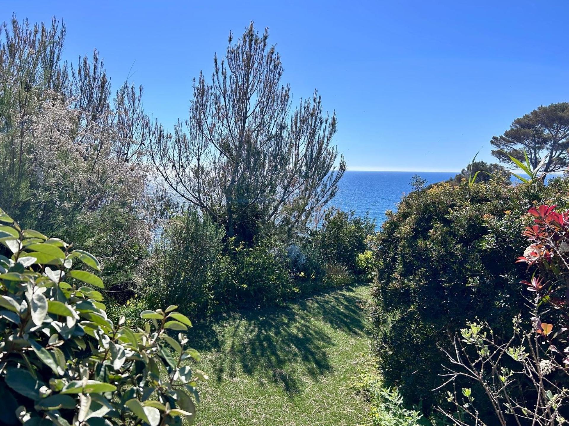 Miniature photo - 2 / 4