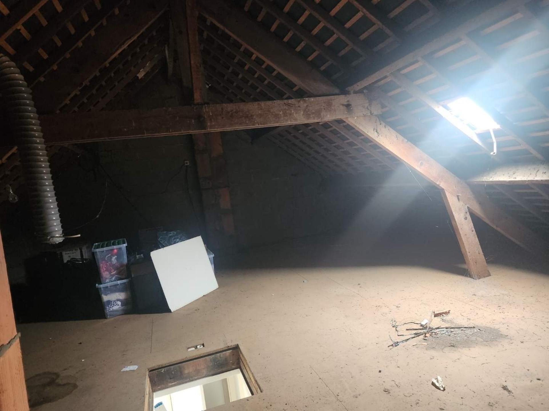 Miniature photo - 14 / 14