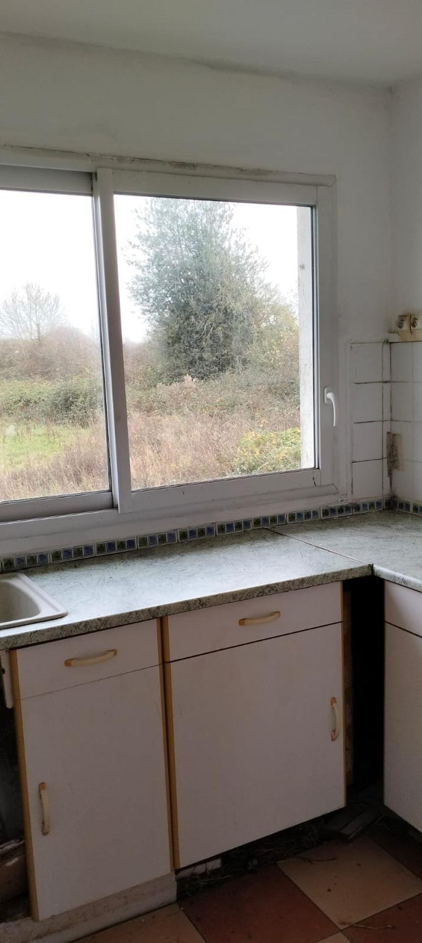 Miniature photo - 4 / 4