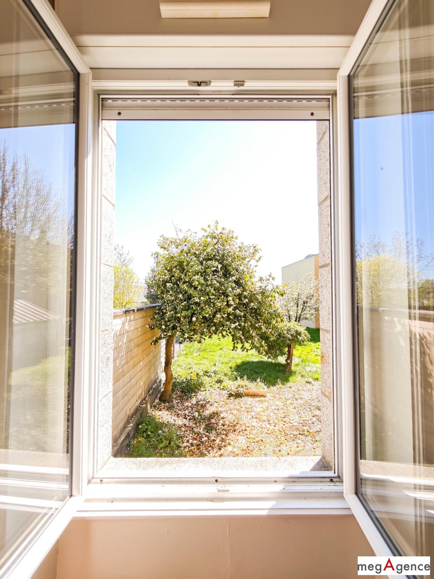 Miniature photo - 10 / 11