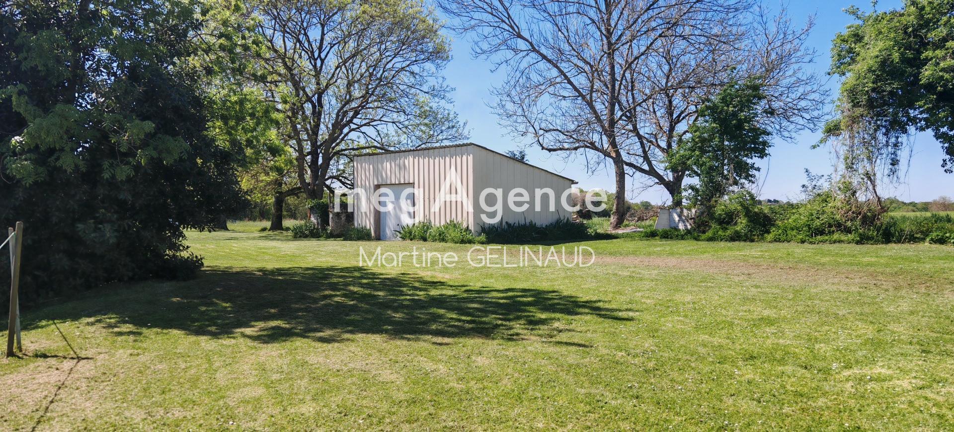 Miniature photo - 2 / 2