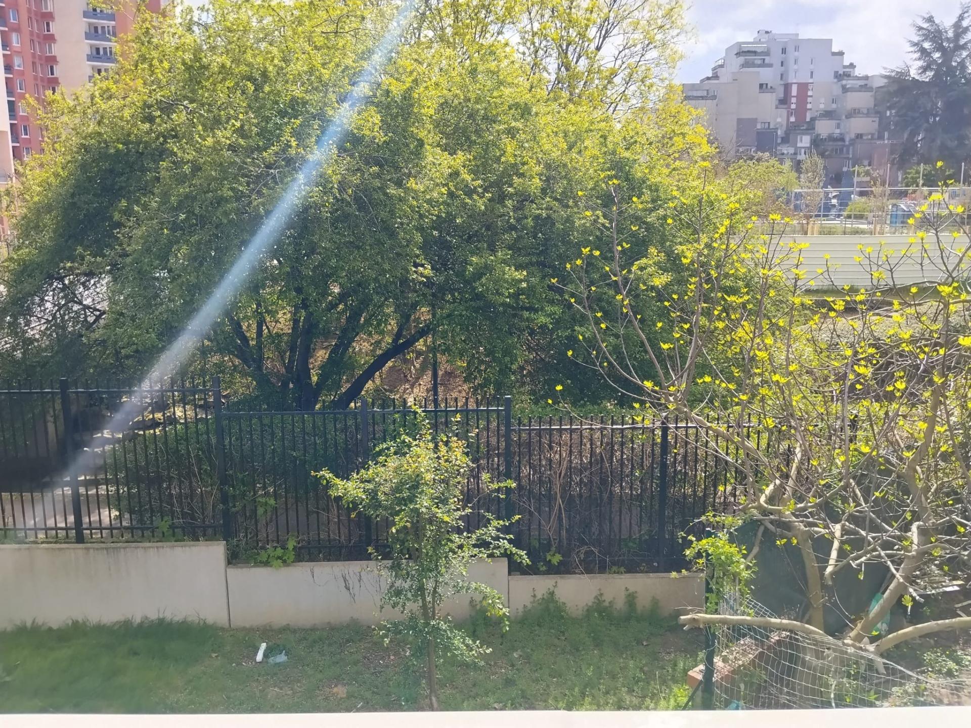 Miniature photo - 11 / 11