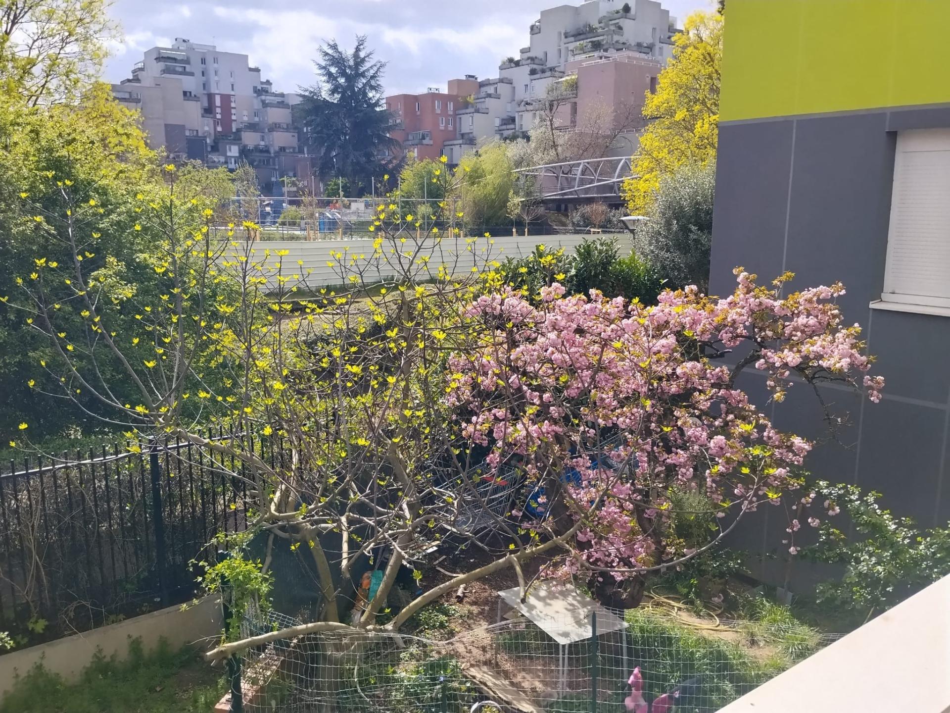 Miniature photo - 10 / 11