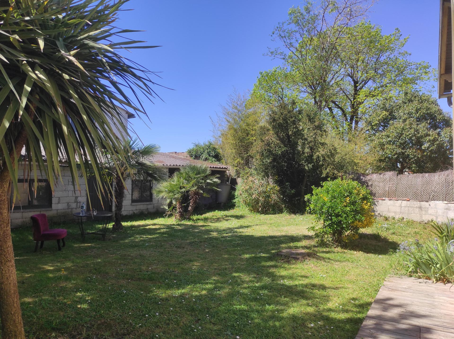 Miniature photo - 3 / 11