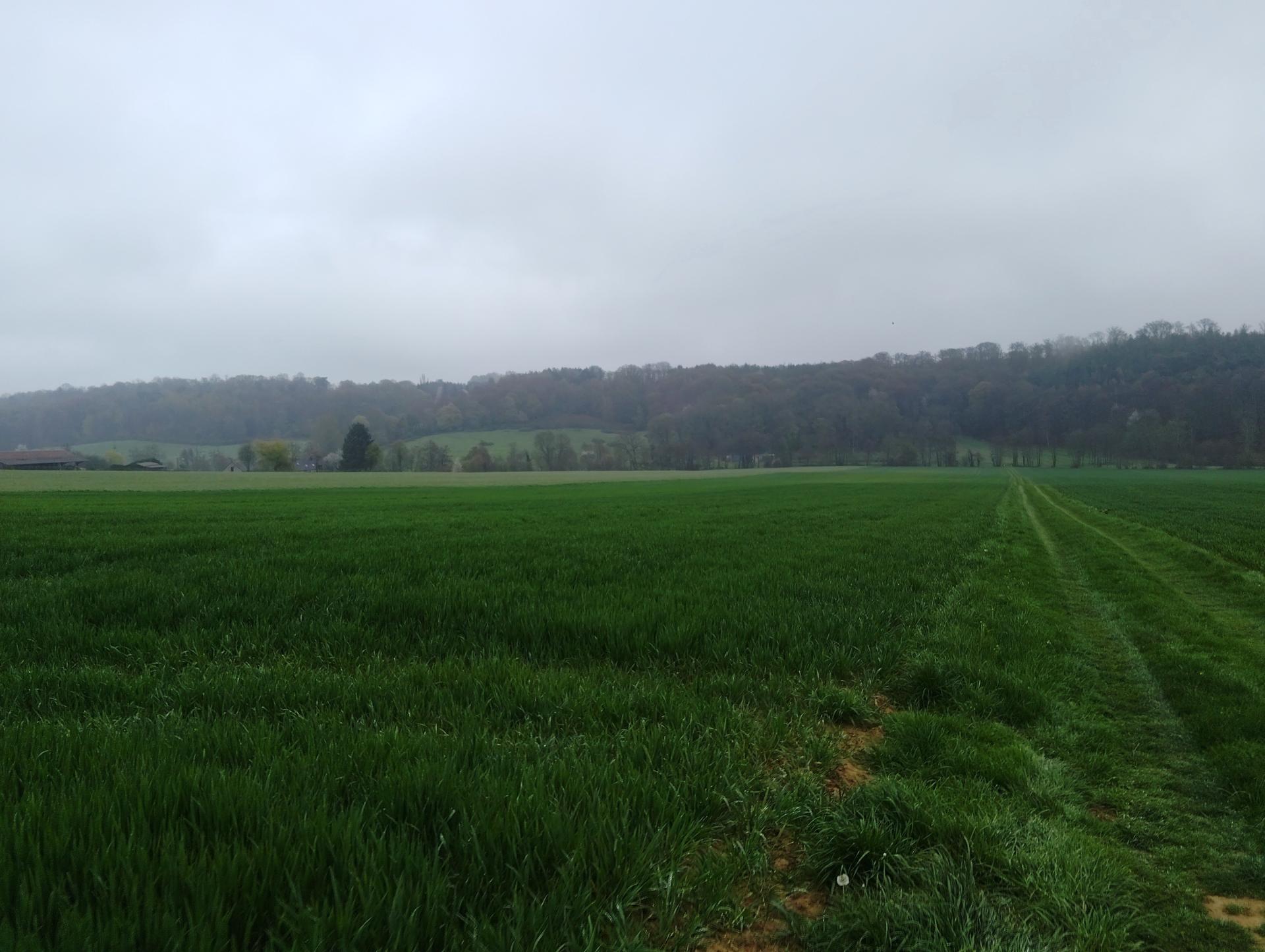 Miniature photo - 3 / 4