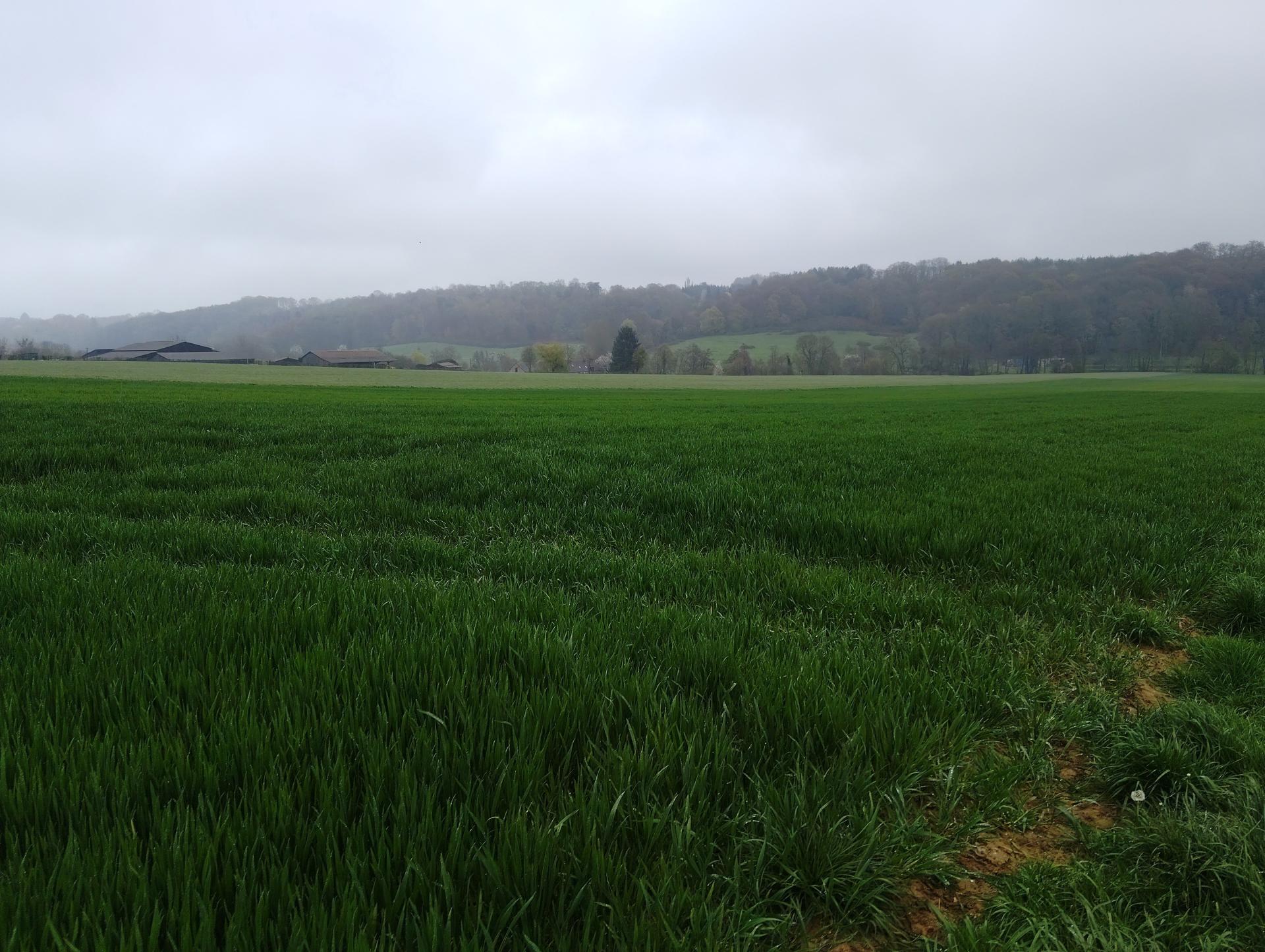 Photographie descriptive du bien