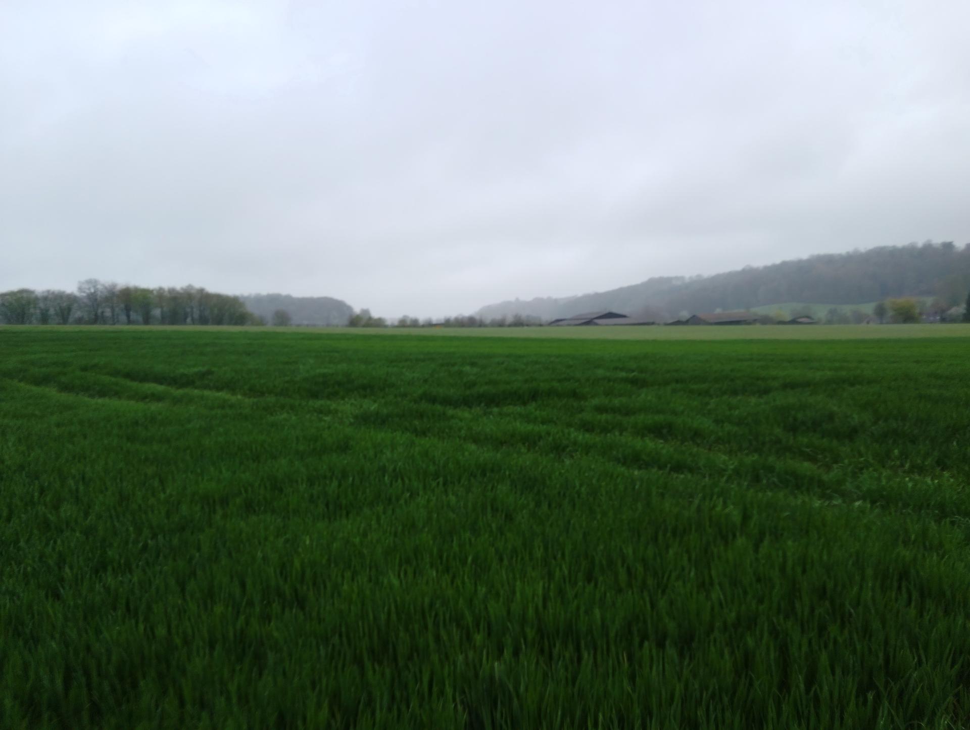 Miniature photo - 2 / 4