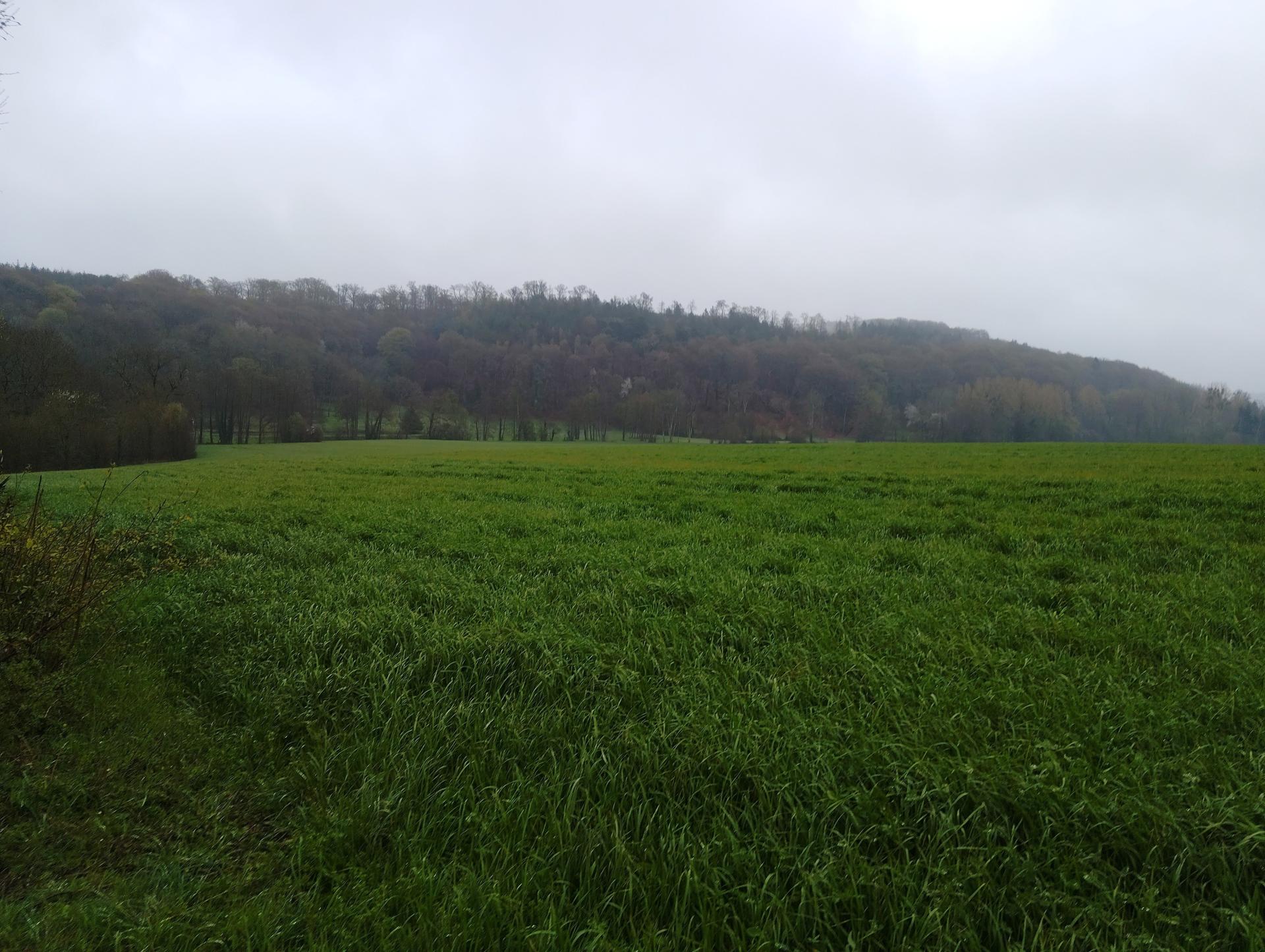 Miniature photo - 4 / 4