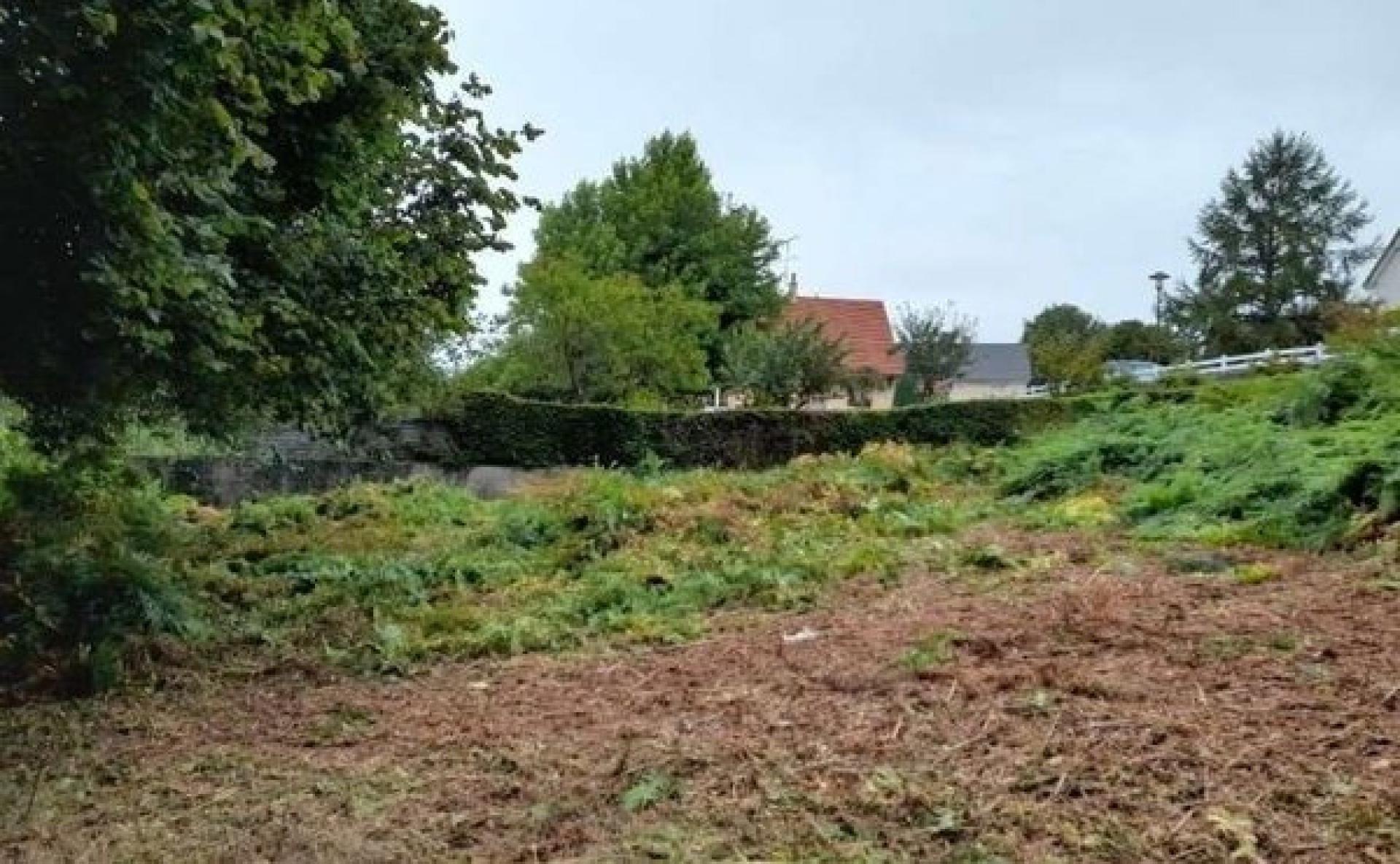 Miniature photo - 2 / 2