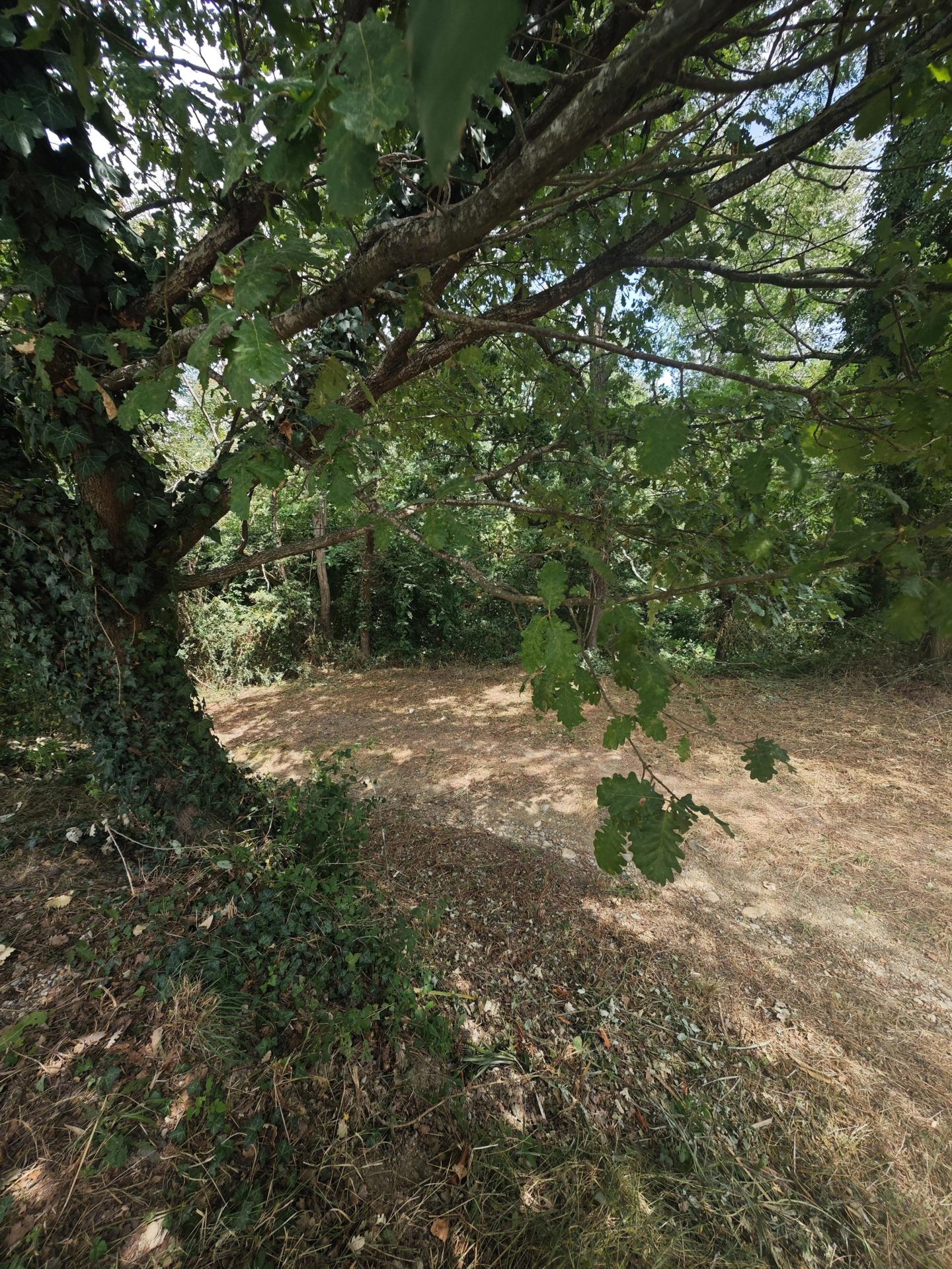 Miniature photo - 10 / 10