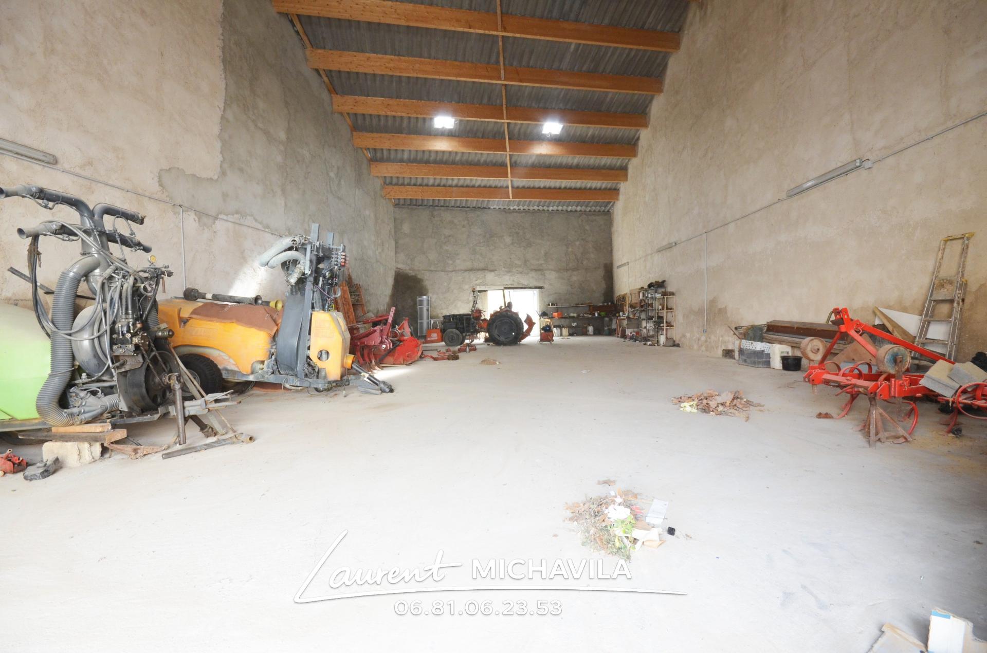 Miniature photo - 5 / 5