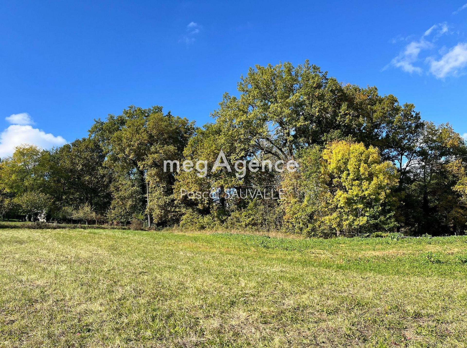 Photographie descriptive du bien