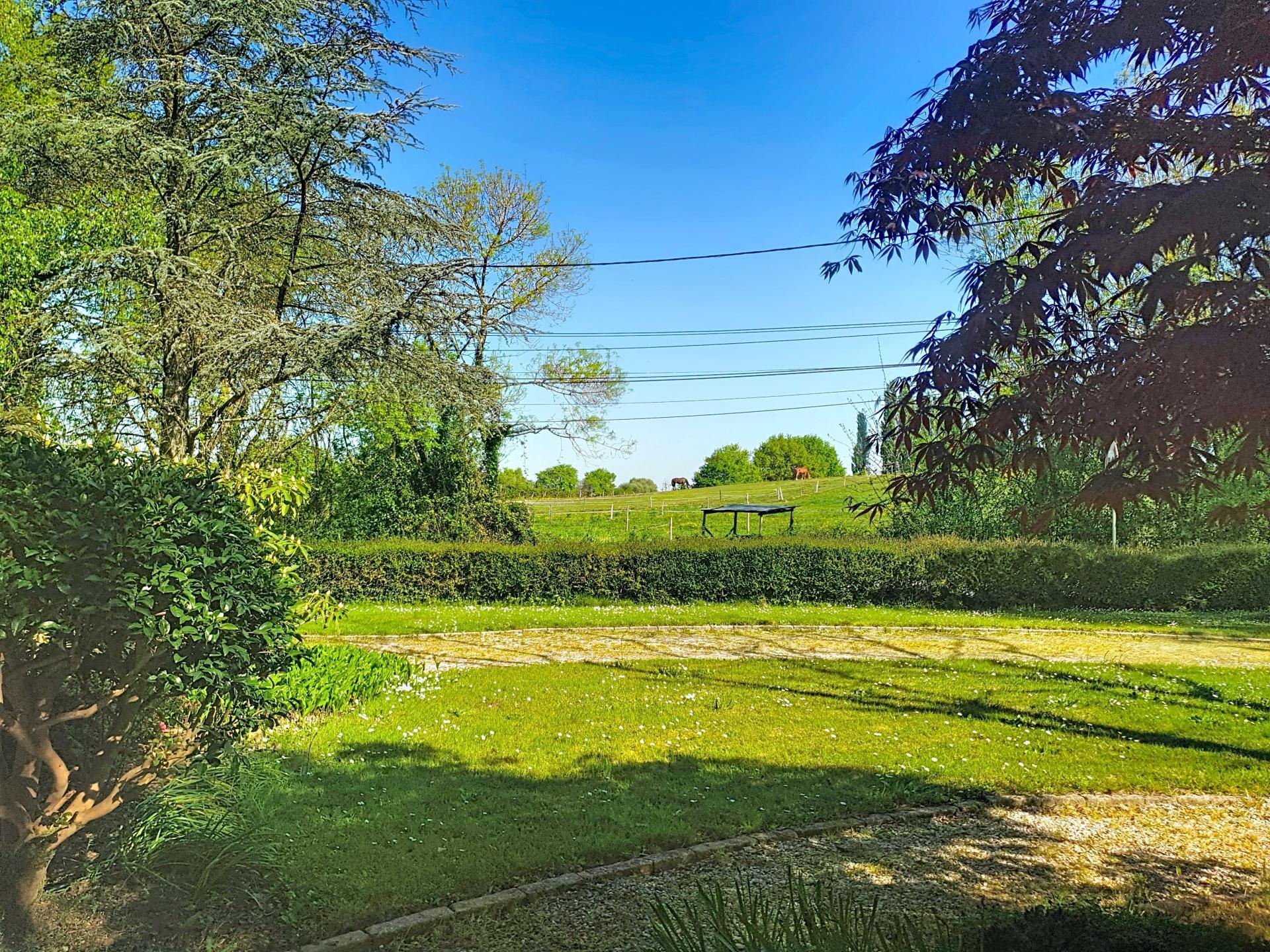 Miniature photo - 11 / 12