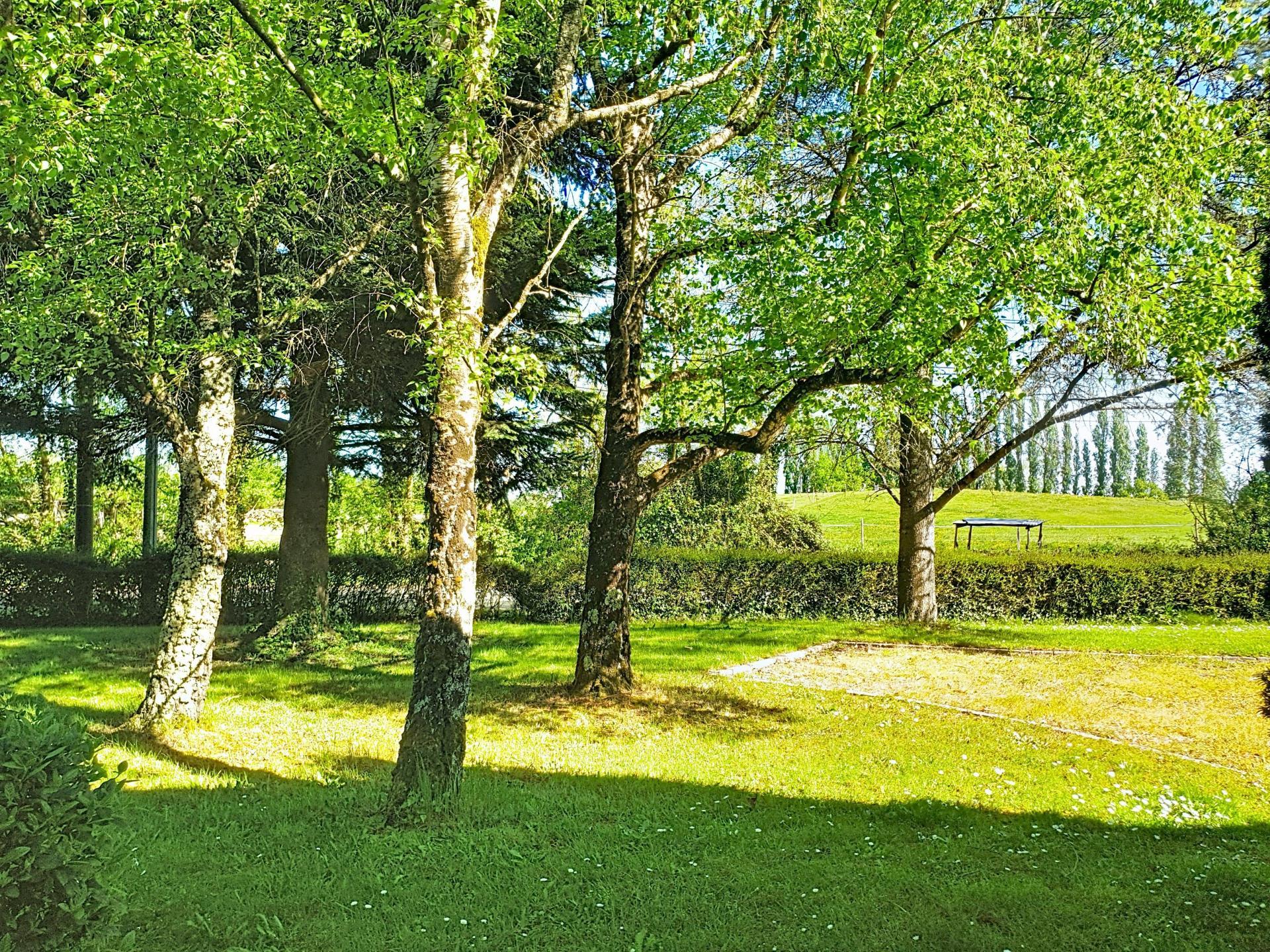 Miniature photo - 12 / 12