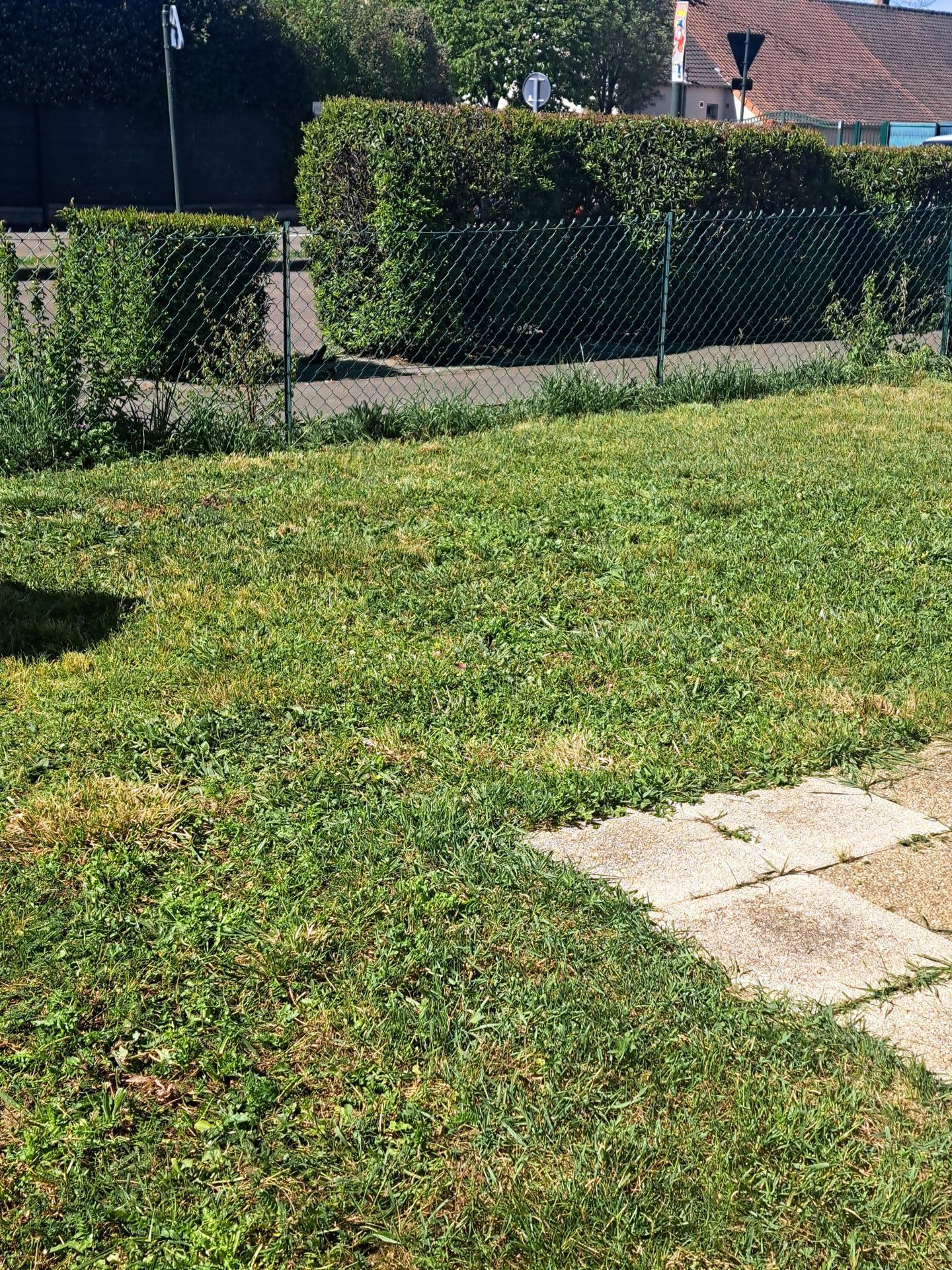 Miniature photo - 3 / 3