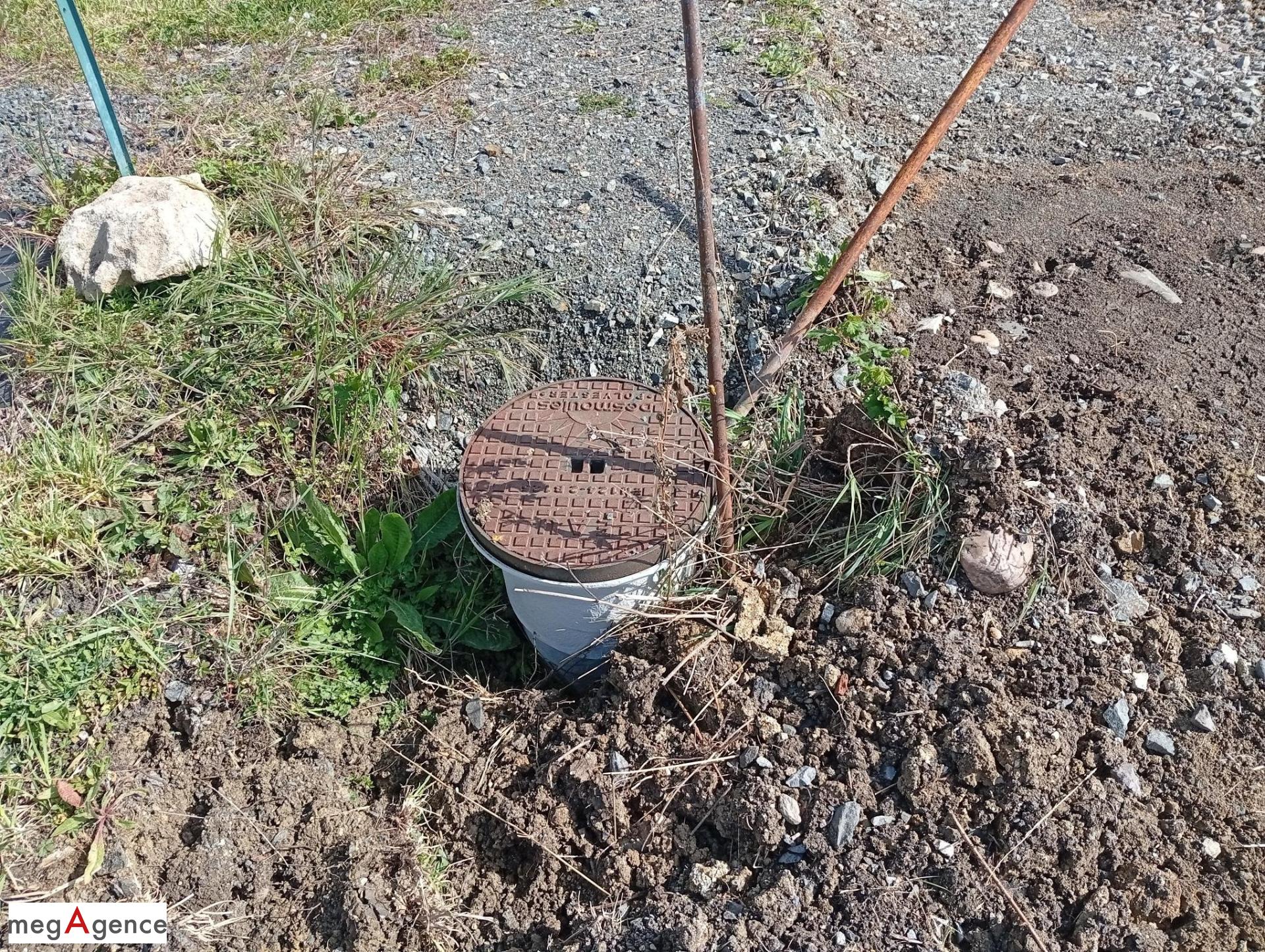 Miniature photo - 3 / 3