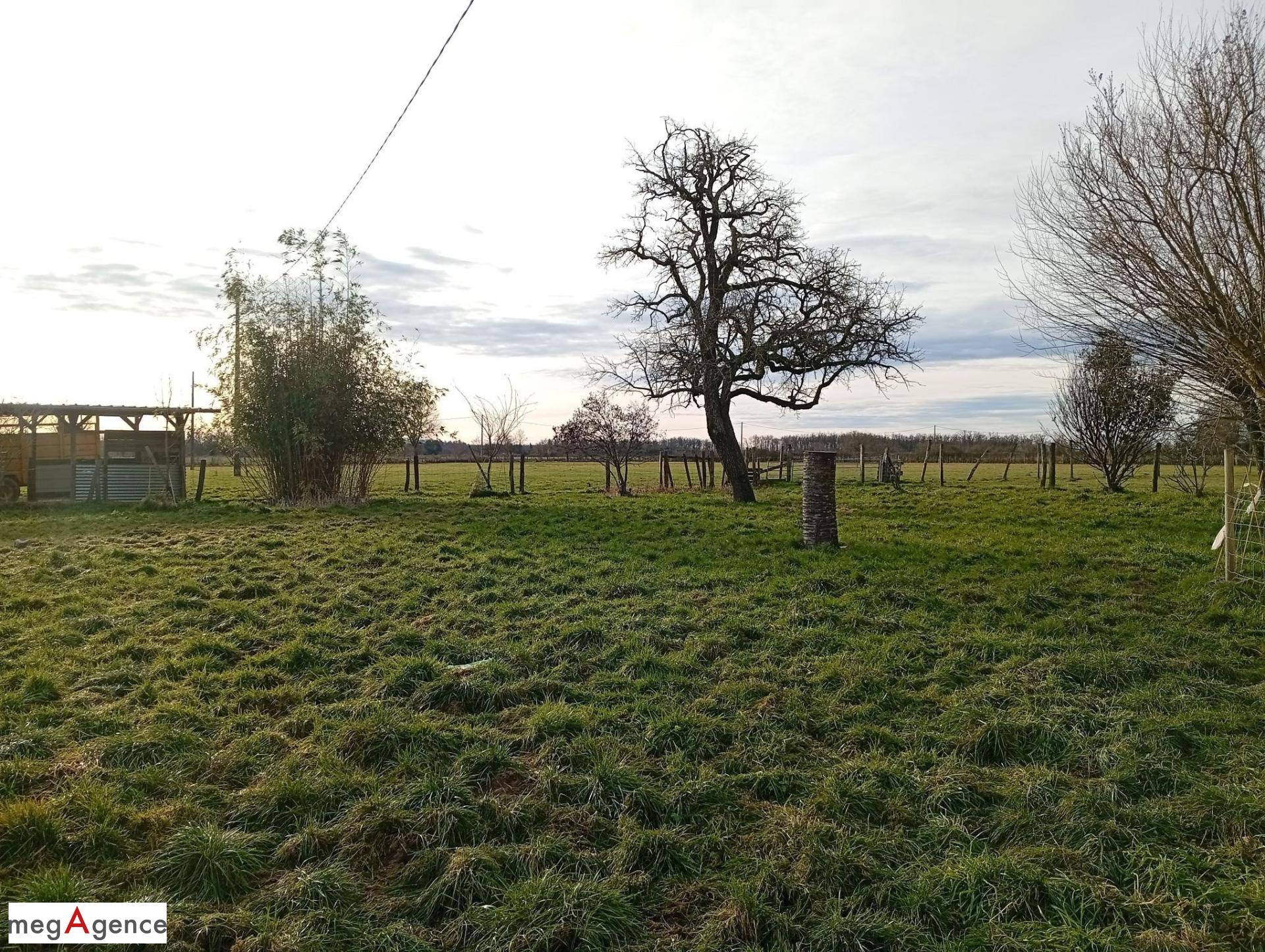 Miniature photo - 14 / 14