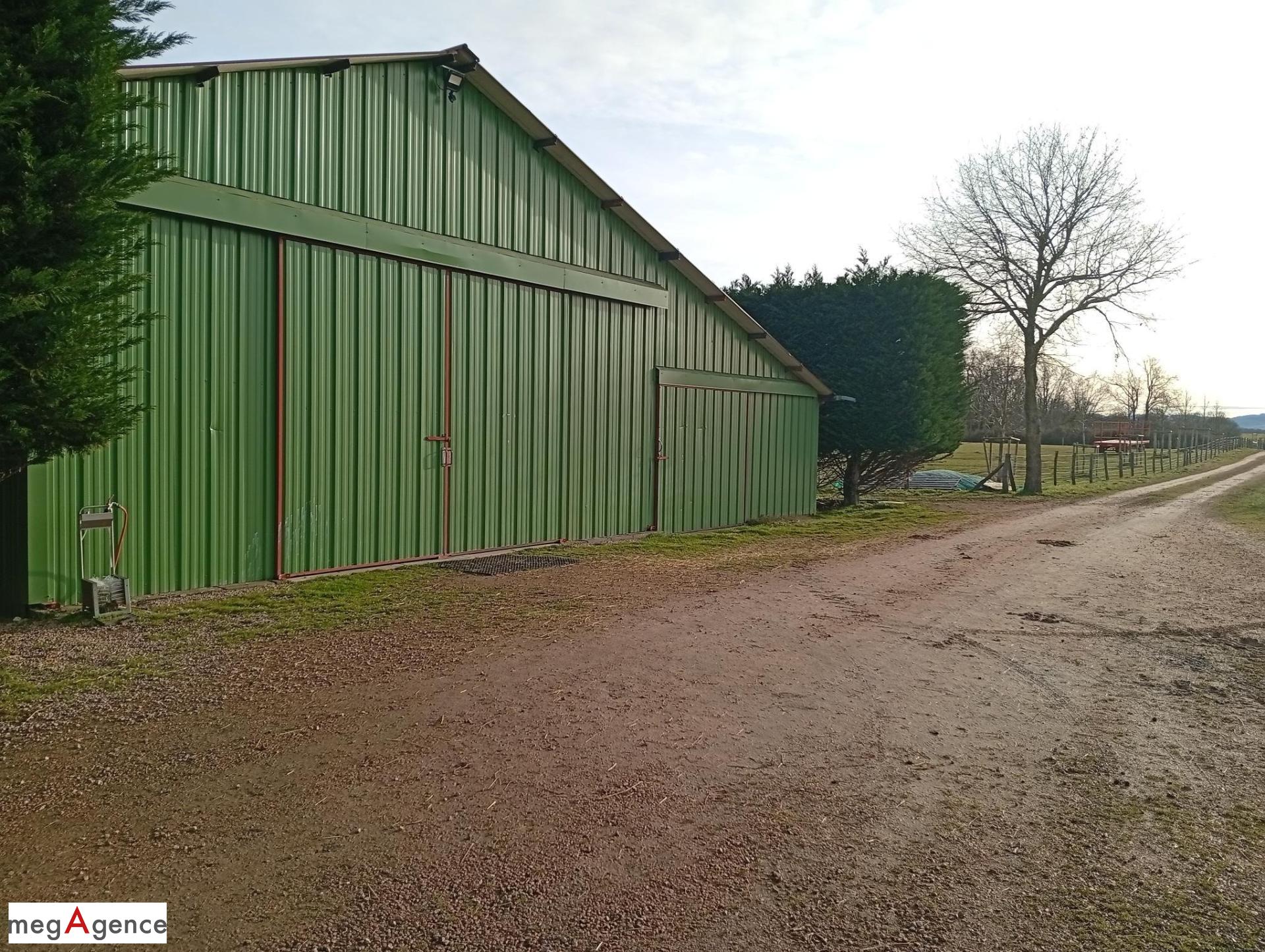 Miniature photo - 9 / 14