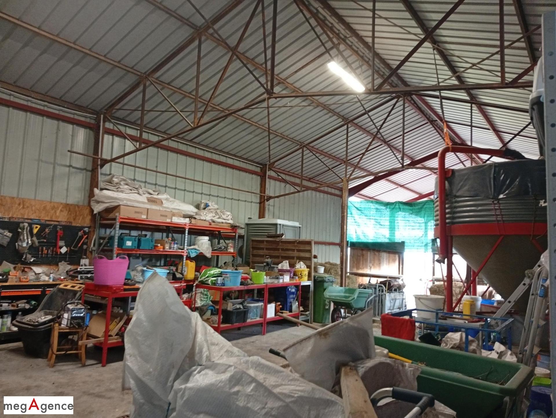 Miniature photo - 11 / 14