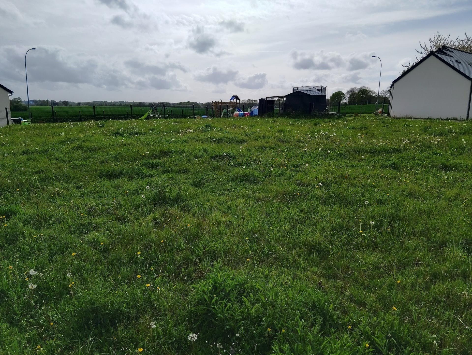 Miniature photo - 2 / 3